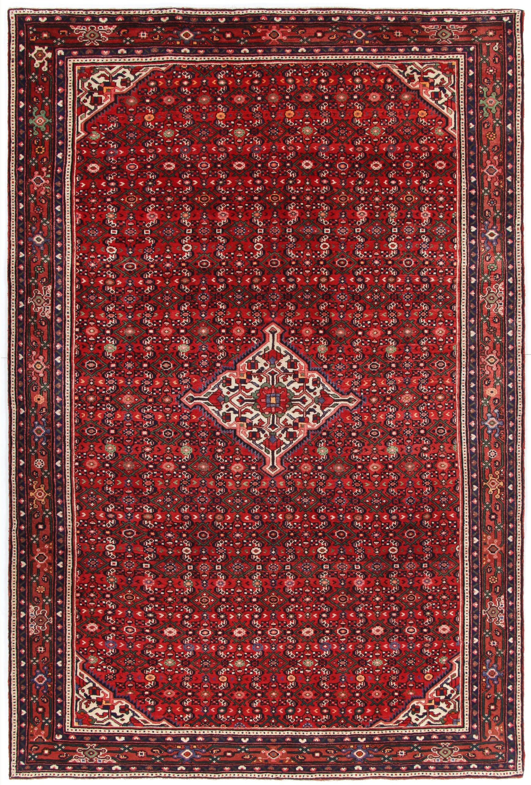 Persian Rug 210 × 315 cm in Wool, hand-knotted