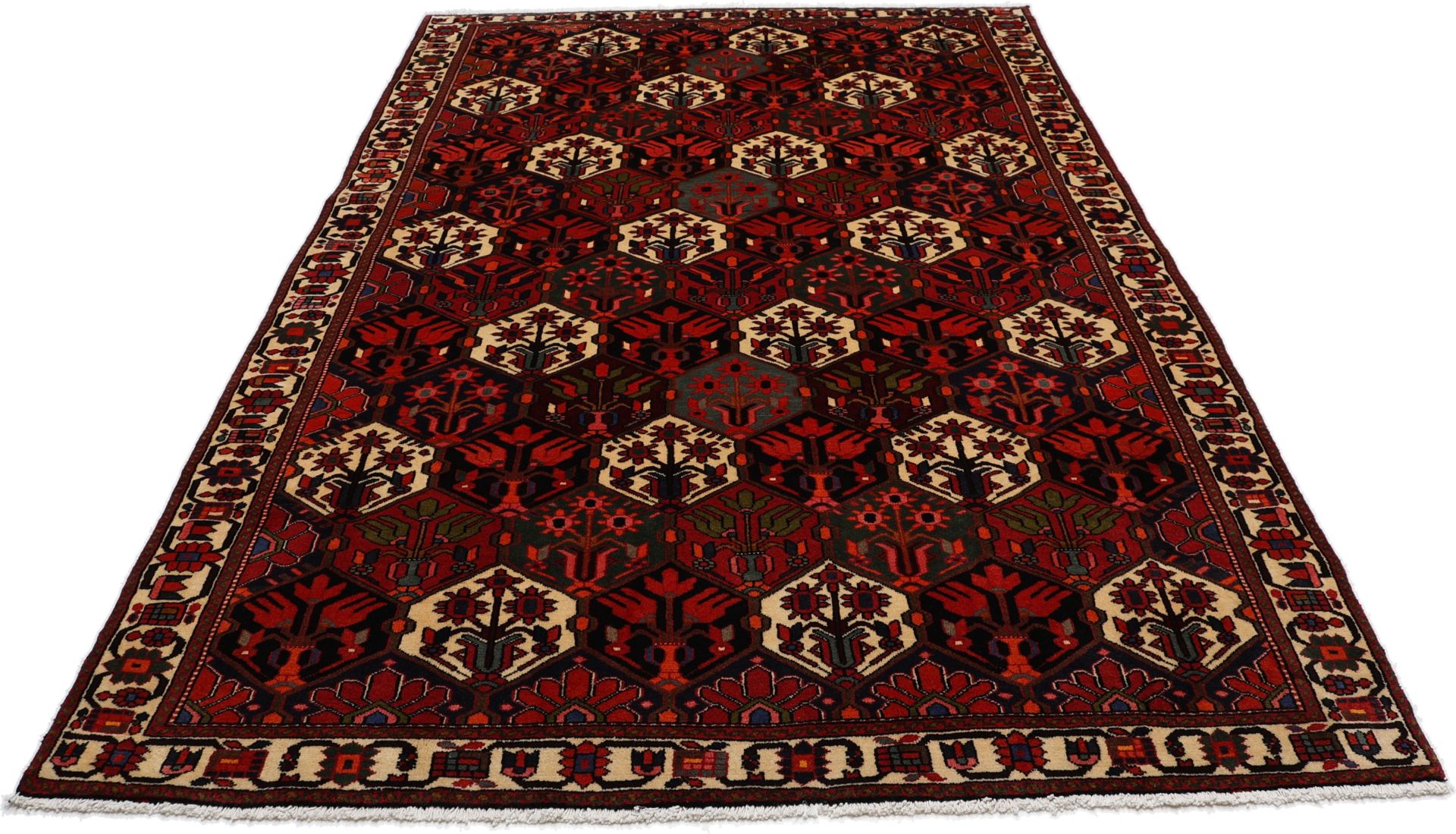 Bakhtiari Persian Rug 208 × 306 cm in Wool, hand-knotted - Image 8