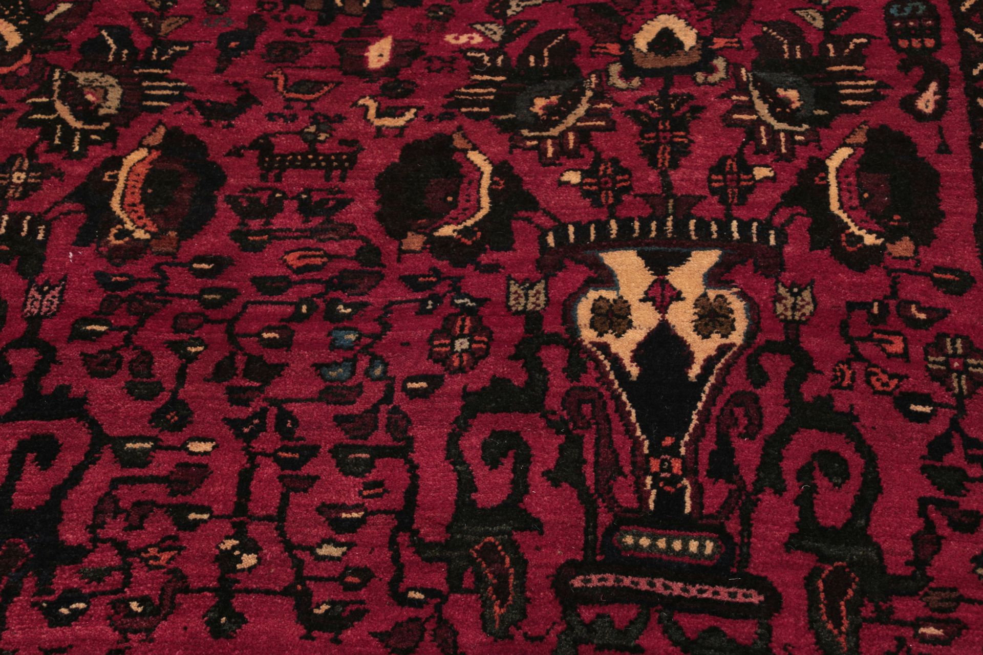 Qashqai Persian Rug 212 × 292 cm in Wool, hand-knotted - Image 4
