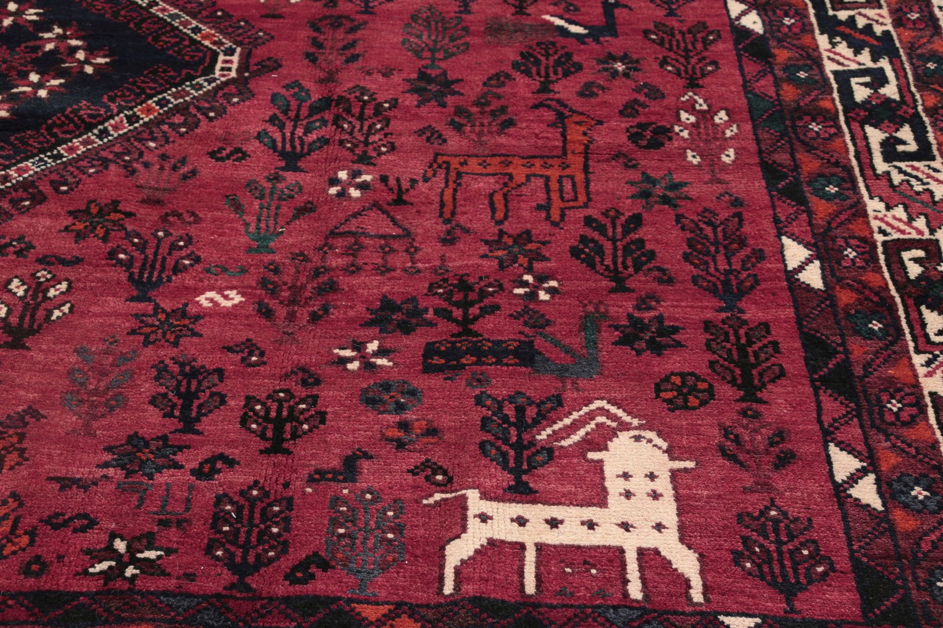 Qashqai Persian Rug 210 × 300 cm in Wool, hand-knotted - Image 4