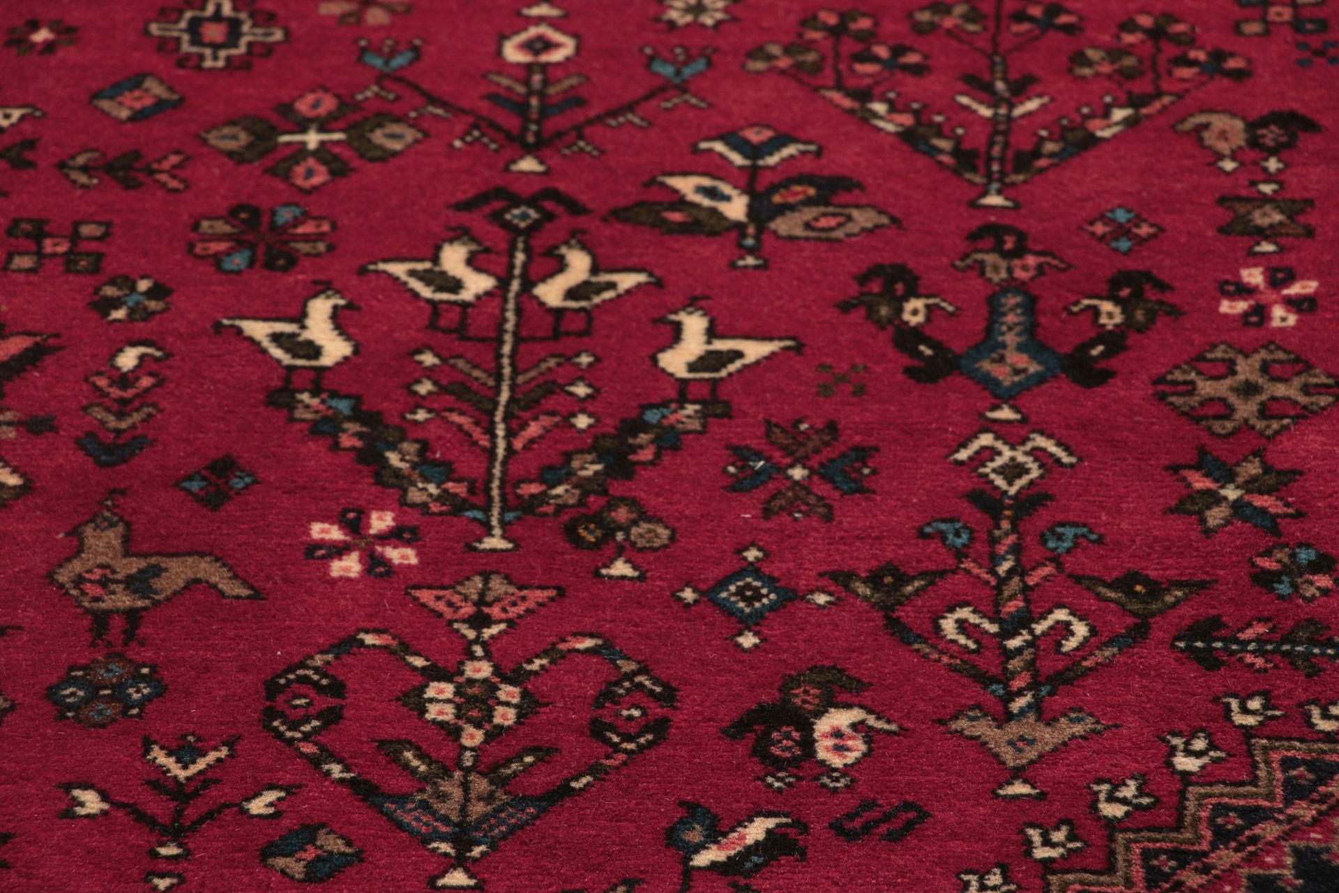 Persian Rug 202 × 297 cm in Wool, hand-knotted - Image 4
