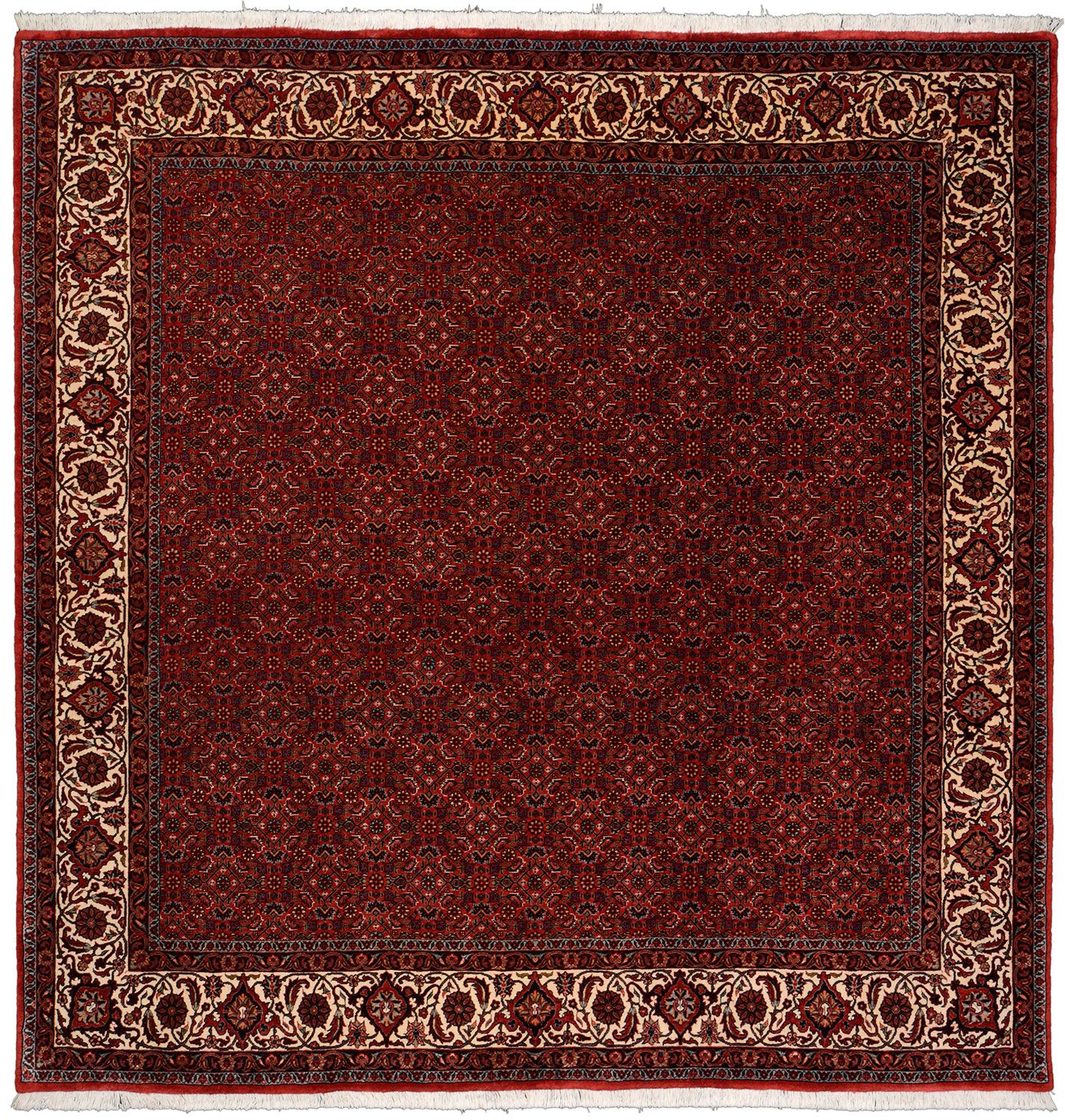 Hand-Knotted Bijar Persian Rug, 208 × 214 cm, Wool & Silk