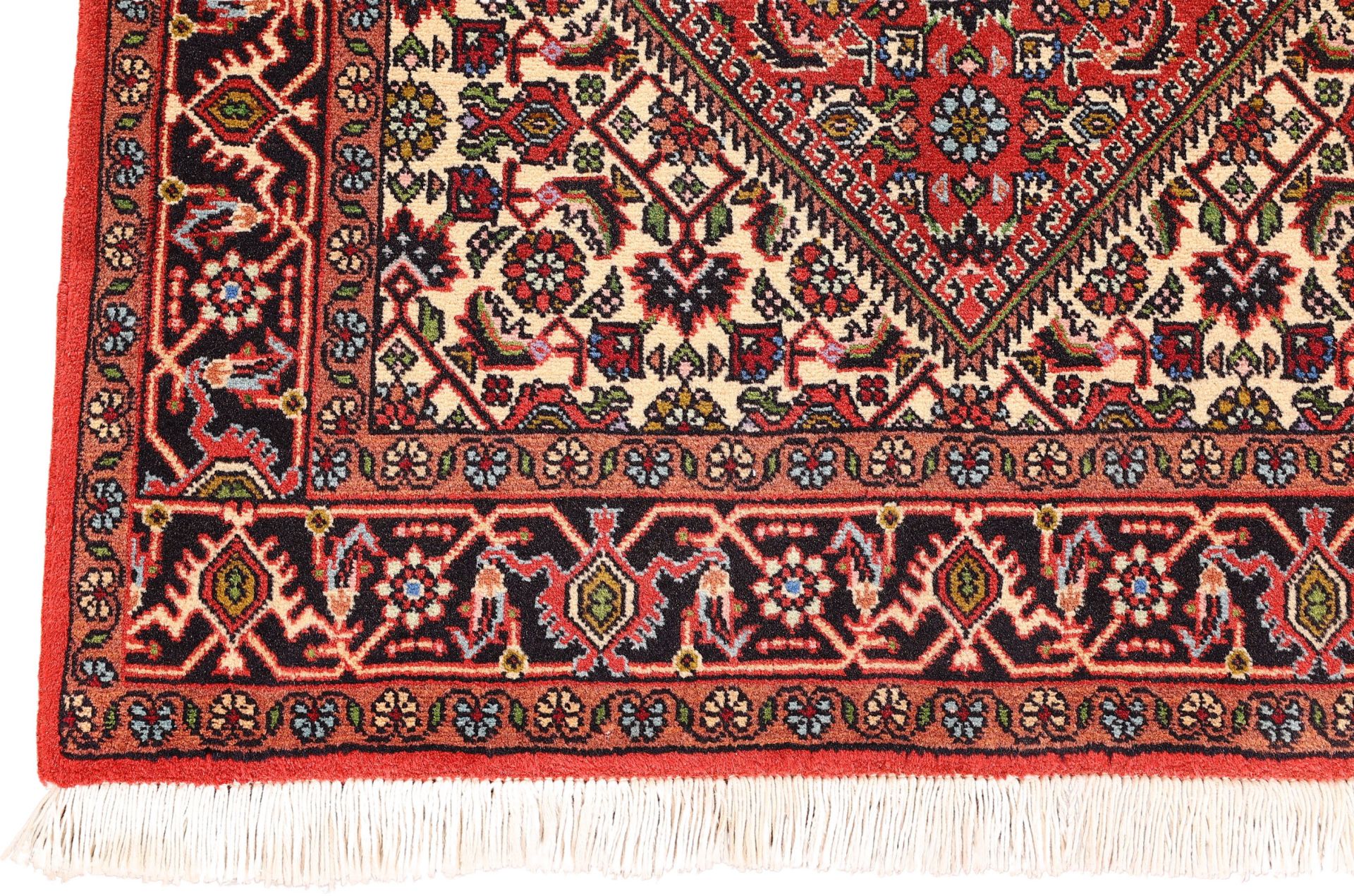 Wool & Silk Bijar Persian Rug 82 × 149 cm, hand-knotted - Image 5