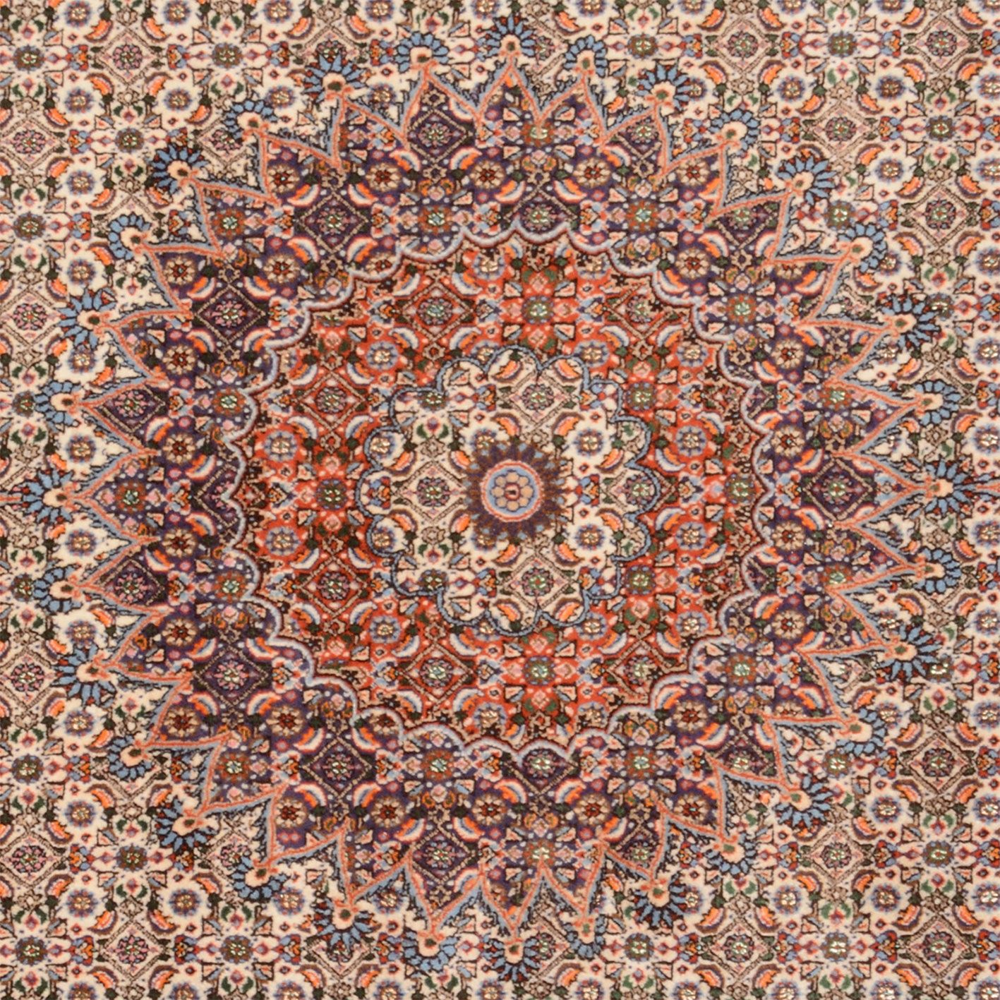 Moud Persian Rug 205 × 295 cm in Wool & Silk, hand-knotted - Image 4