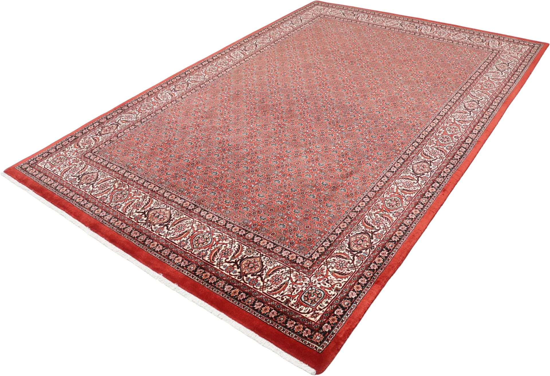 Hand-Knotted Bijar Persian Rug, 200 × 305 cm, Wool & Silk - Image 3