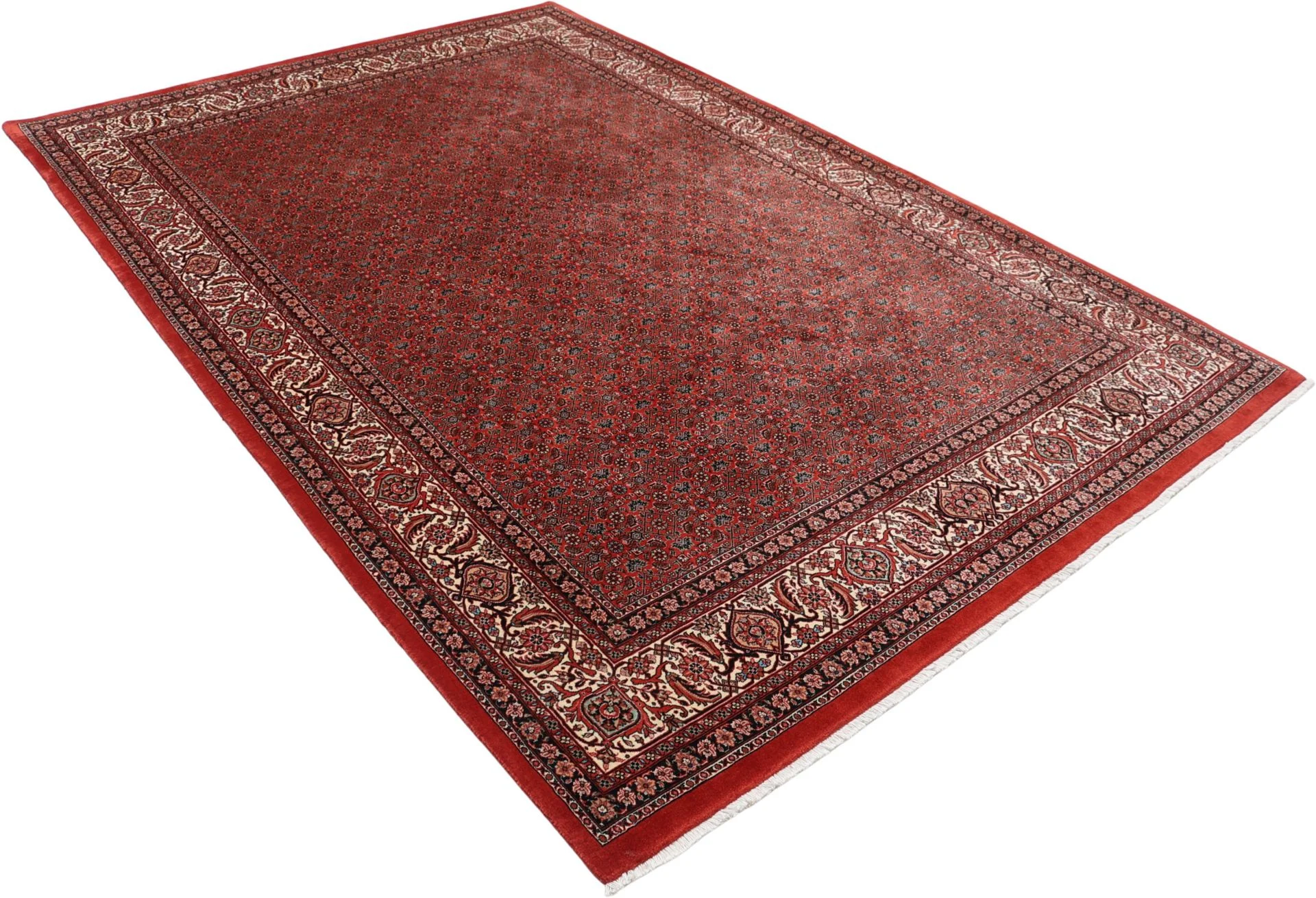 Hand-Knotted Bijar Persian Rug, 200 × 305 cm, Wool & Silk - Image 4
