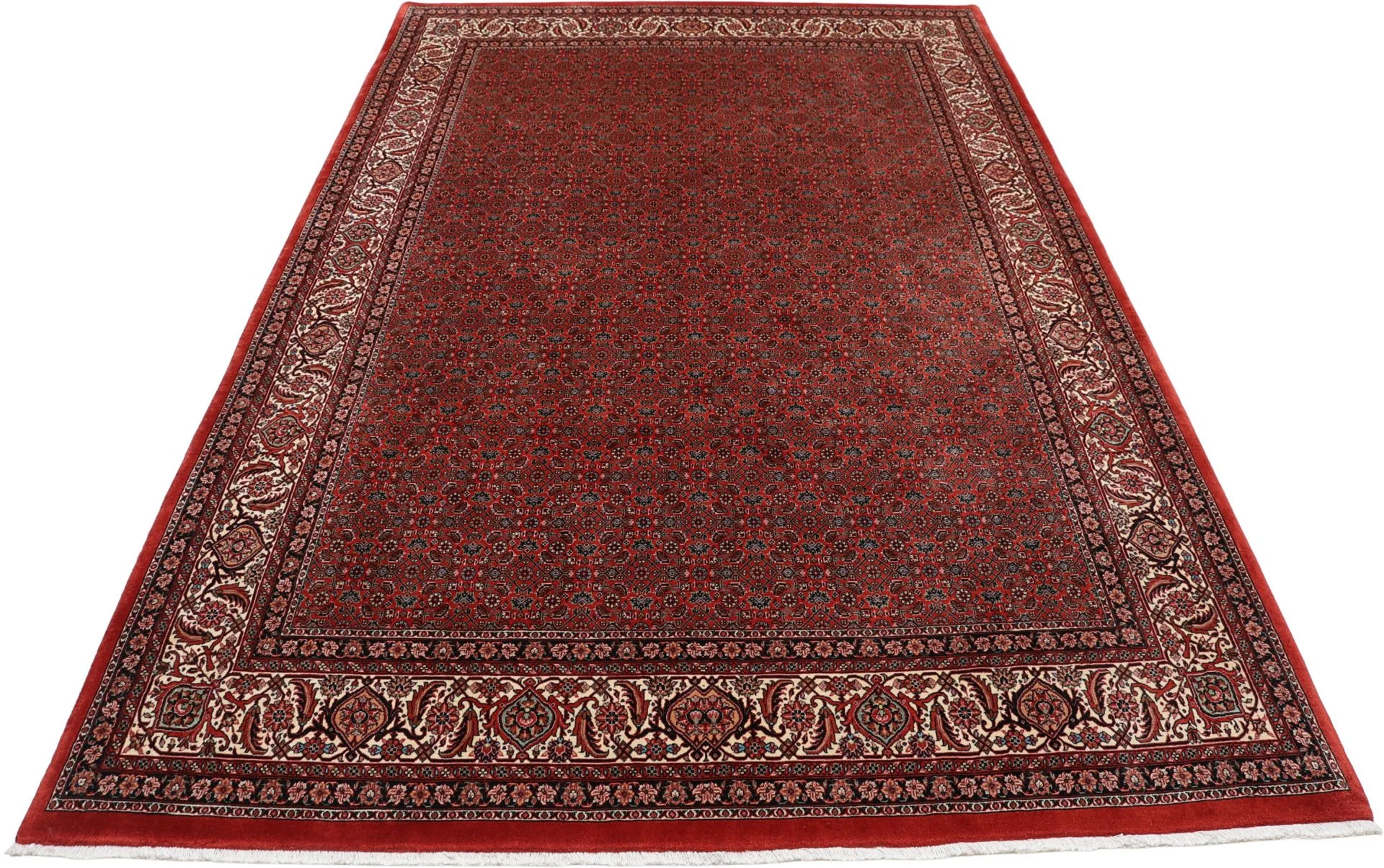 Hand-Knotted Bijar Persian Rug, 200 × 305 cm, Wool & Silk - Image 7