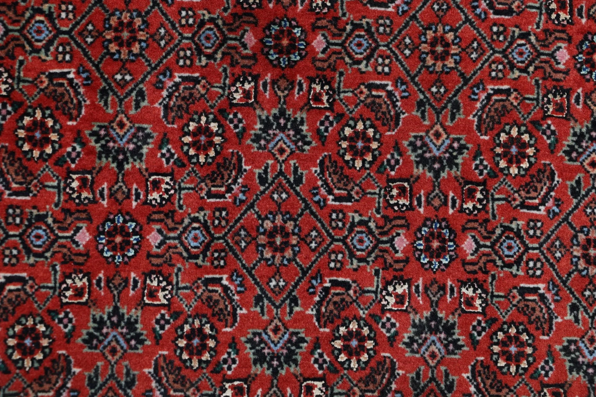 Hand-Knotted Bijar Persian Rug, 200 × 305 cm, Wool & Silk - Image 9