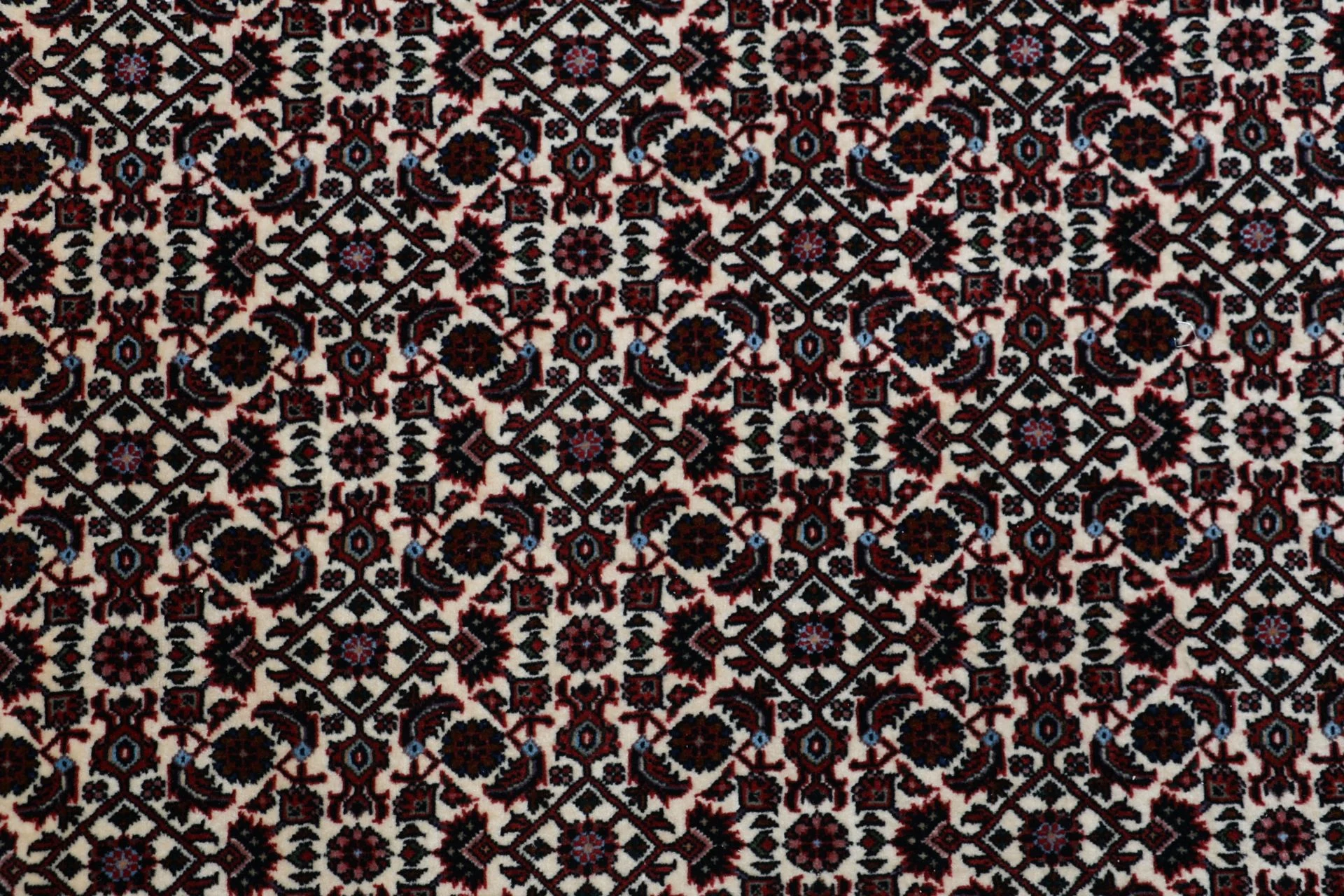 Hand-Knotted Bijar Persian Rug, 258 × 355 cm, Wool - Image 9