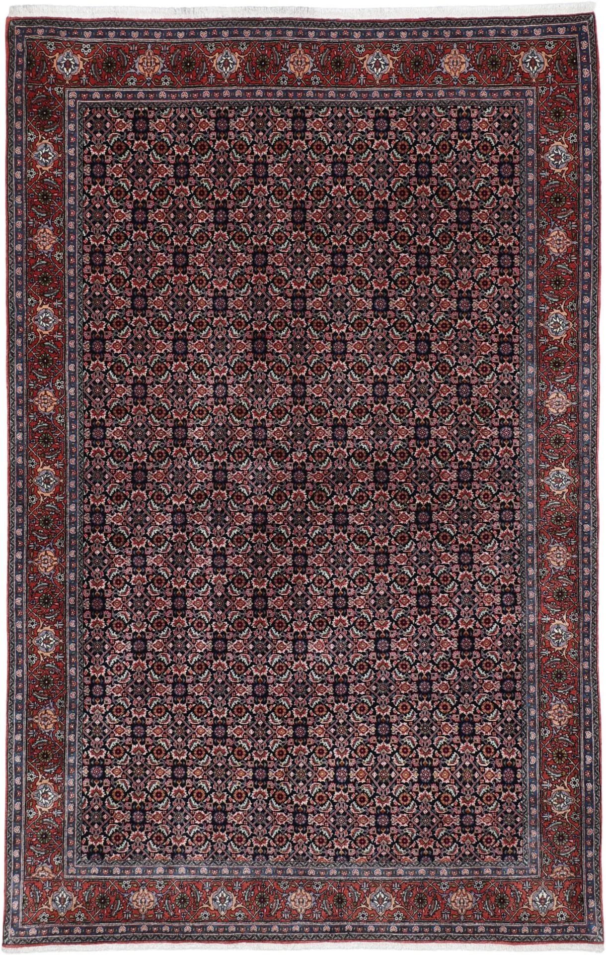 Bijar Persian Rug 170 × 264 cm in Wool, hand-knotted