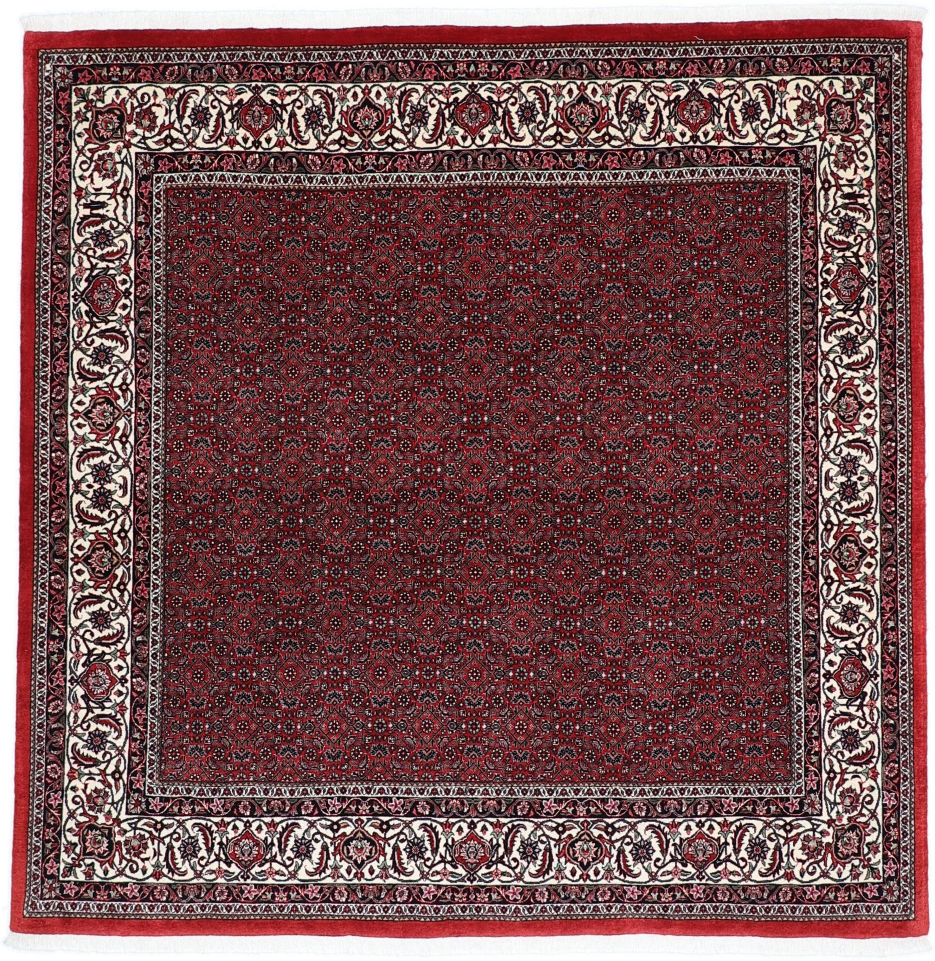 Wool & Silk Bijar Persian Rug 205 × 208 cm, hand-knotted
