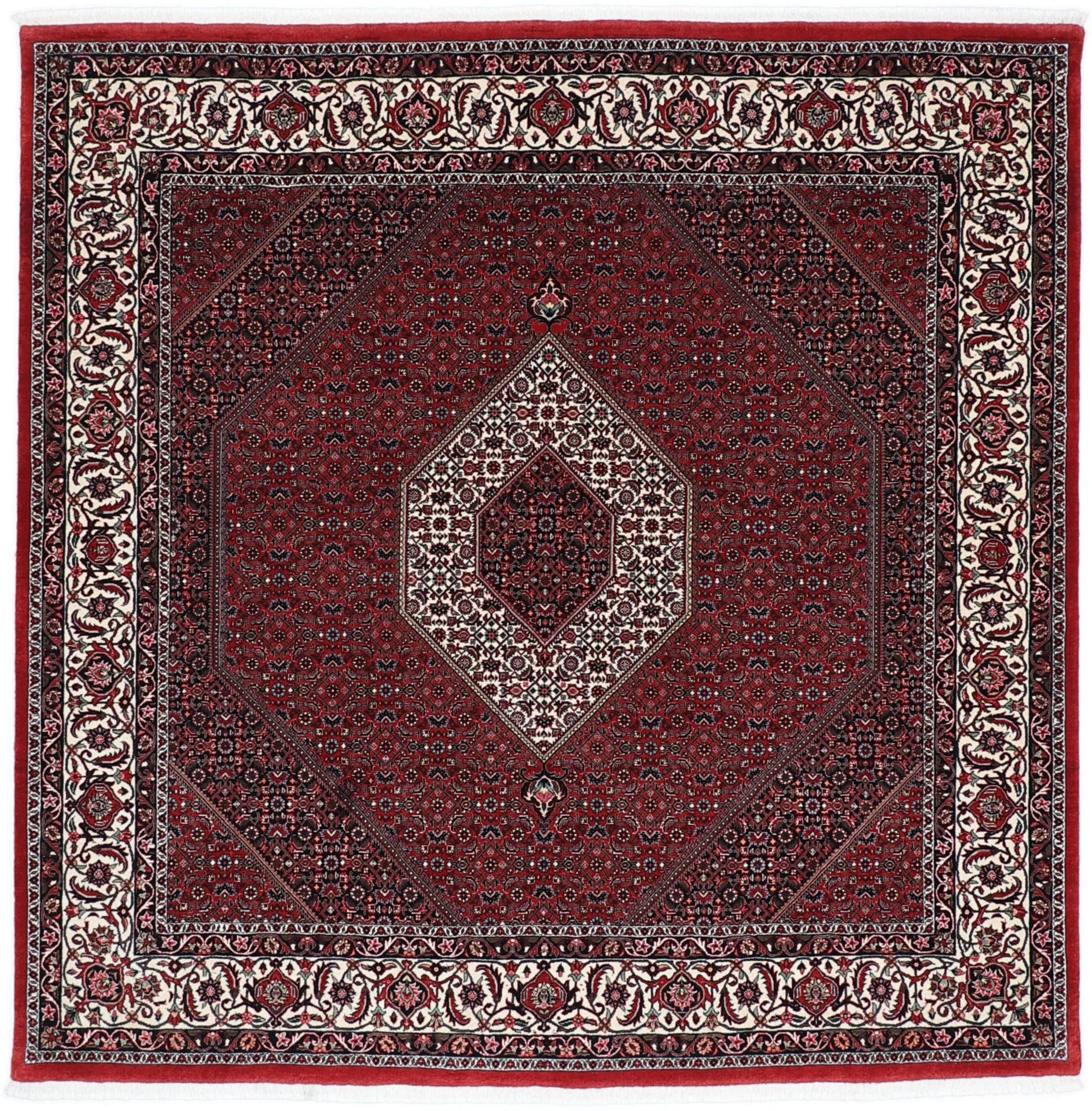 Hand-Knotted Bijar Persian Rug, 204 × 206 cm, Wool & Silk