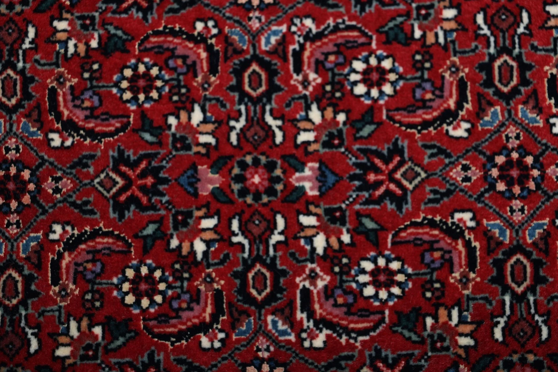 Hand-Knotted Bijar Persian Rug, 201 × 262 cm, Wool & Silk - Image 9