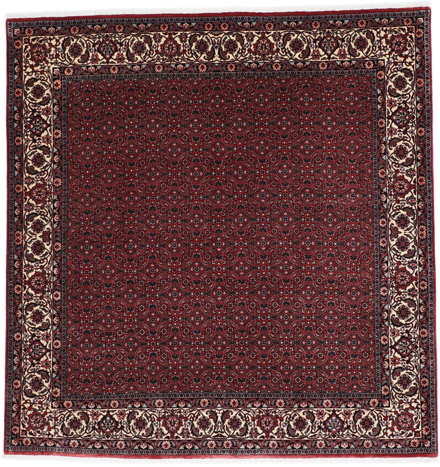 Bijar Persian Rug 204 × 212 cm in Wool & Silk, hand-knotted