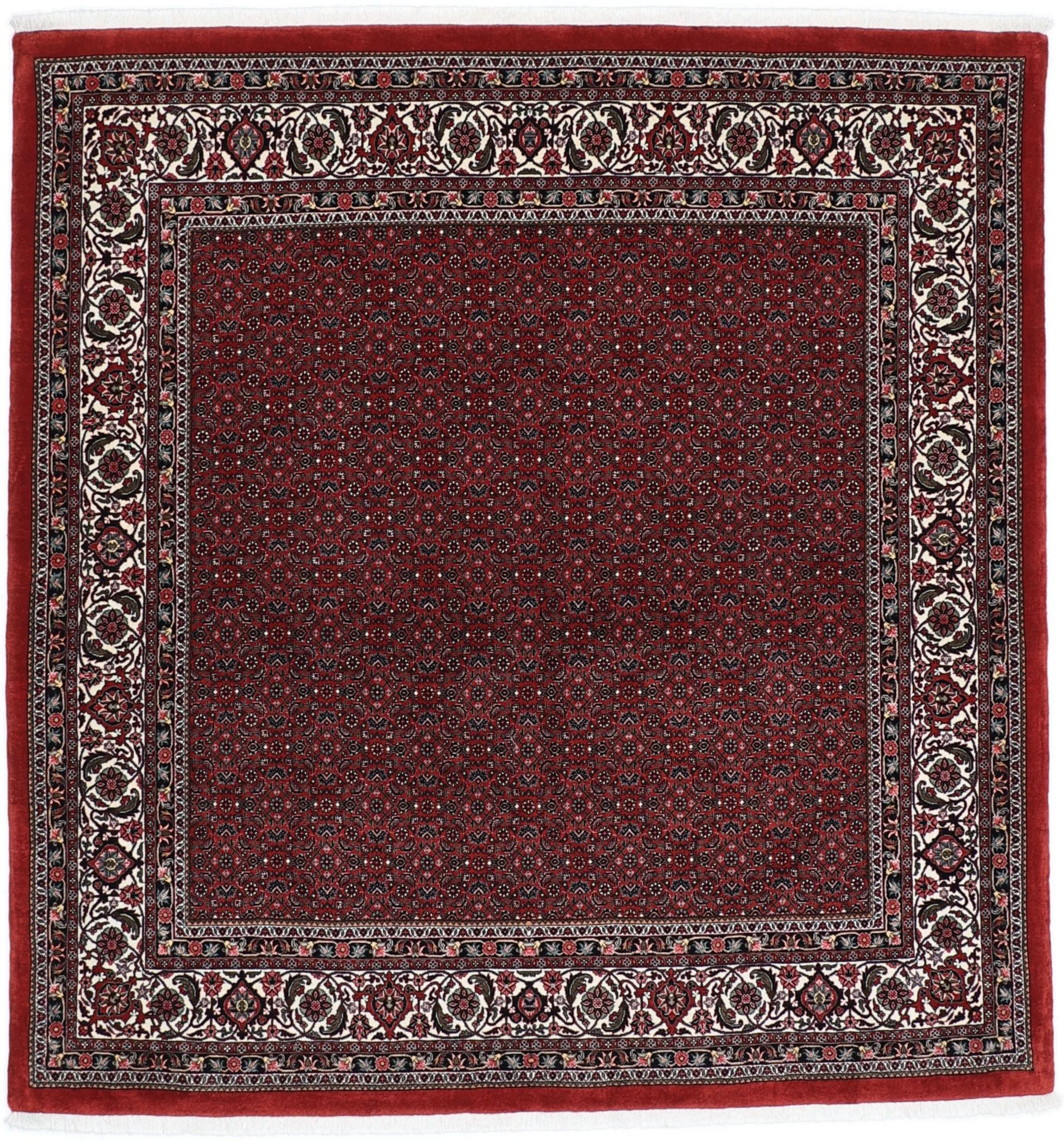 Hand-Knotted Bijar Persian Rug, 210 × 220 cm, Wool