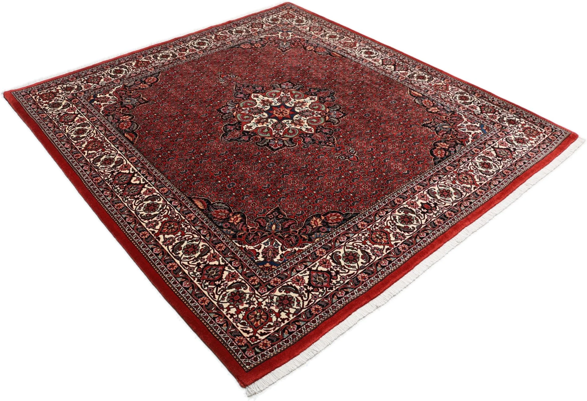 Bijar Persian Rug 205 × 220 cm in Wool & Silk, hand-knotted - Image 4