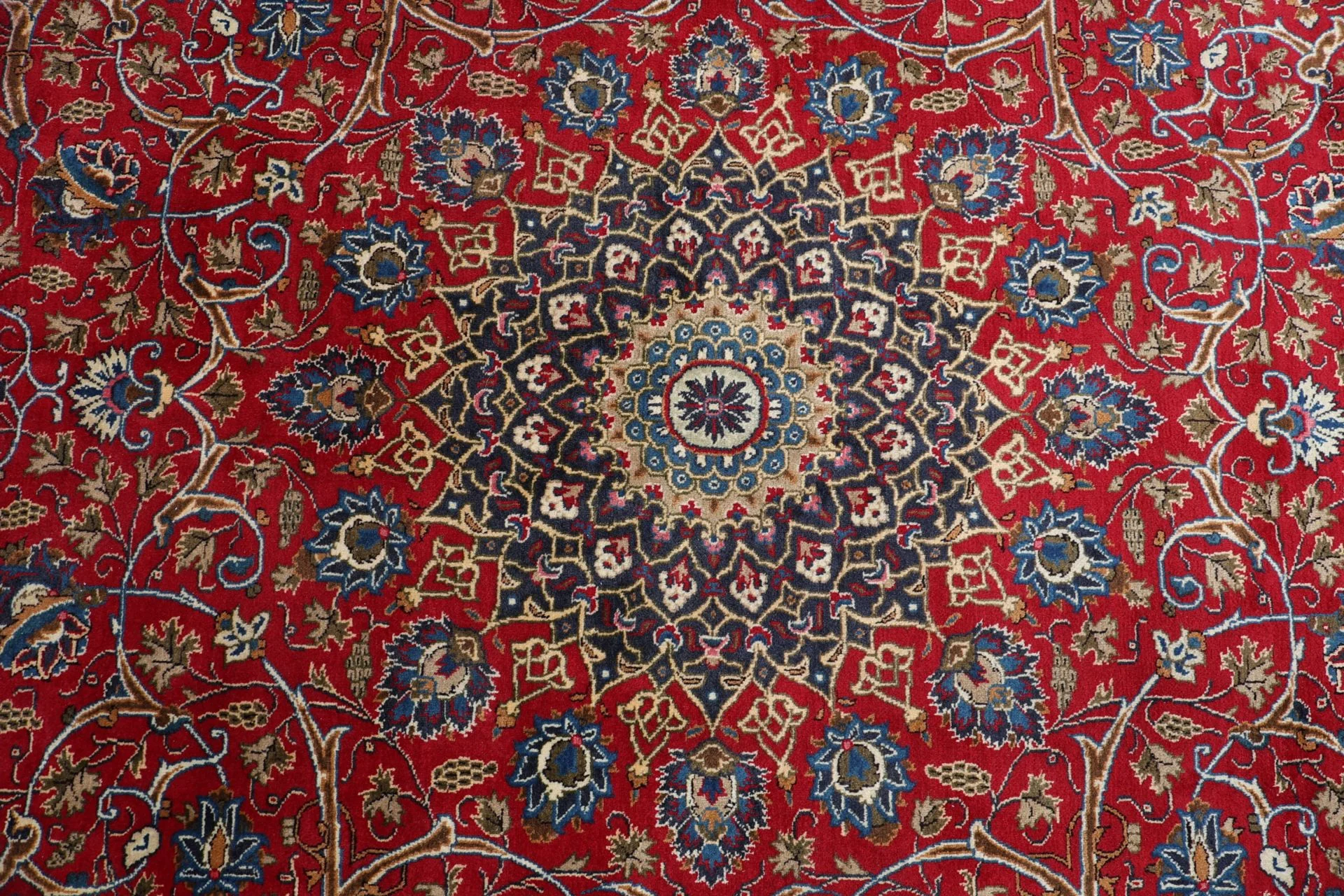 Wool Kashmar Persian Rug 240 × 345 cm, hand-knotted - Image 9
