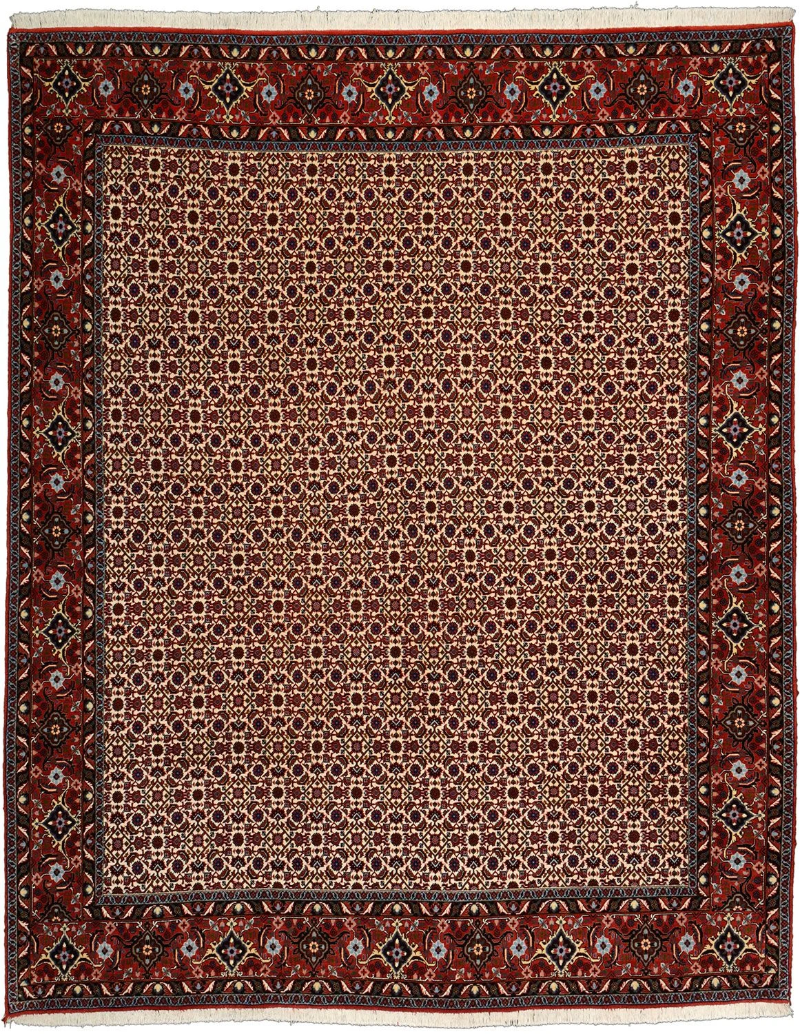 Bijar Persian Rug 204 × 260 cm in Wool, hand-knotted