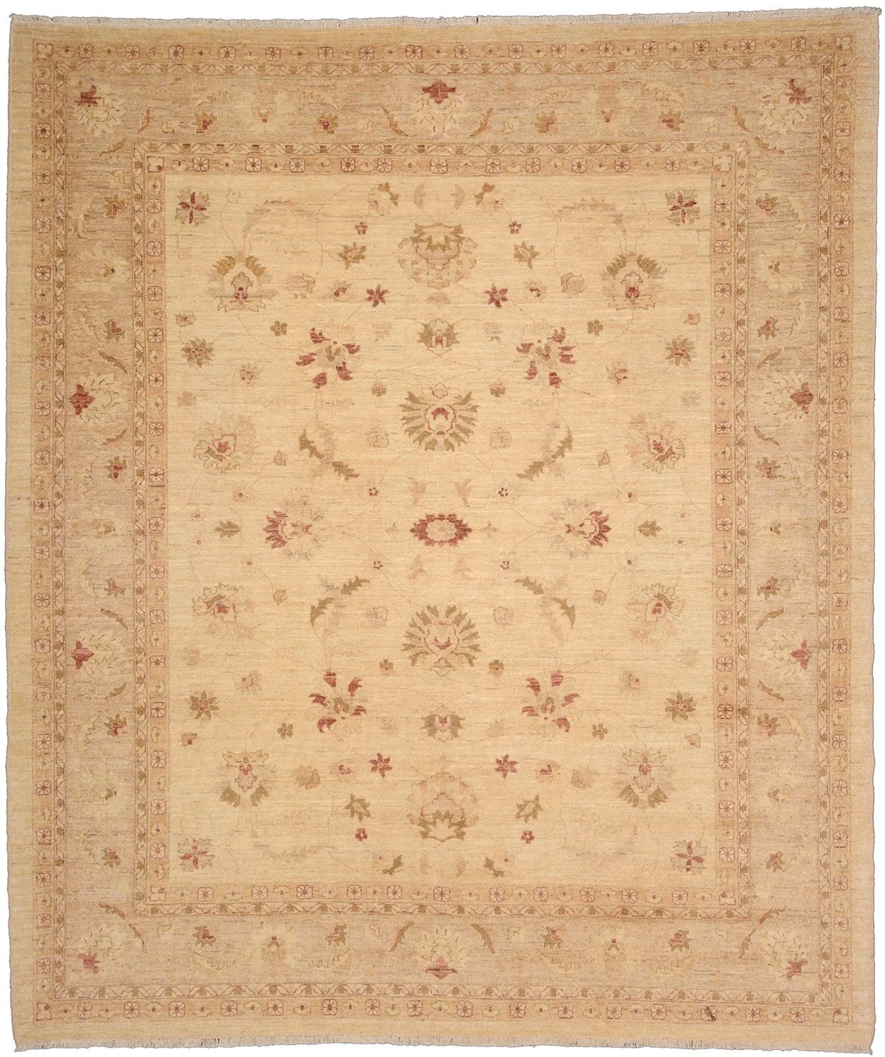 Ziegler Pakistani Rug 255 × 302 cm in Wool, hand-knotted