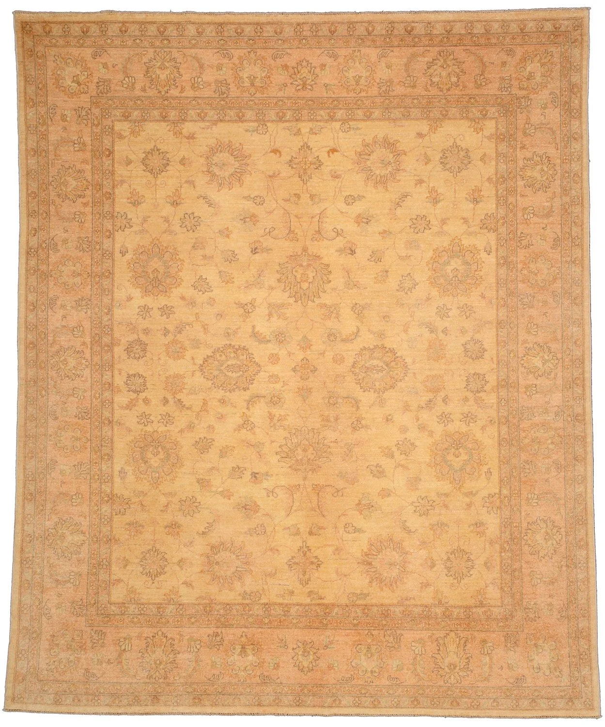 Hand-Knotted Ziegler Afghan Rug, 240 × 295 cm, Wool