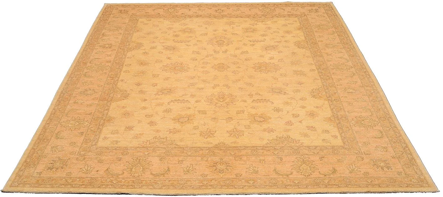 Alternative view of Ziegler Pakistani Rug 253 × 292 cm in Wool, hand-knotted