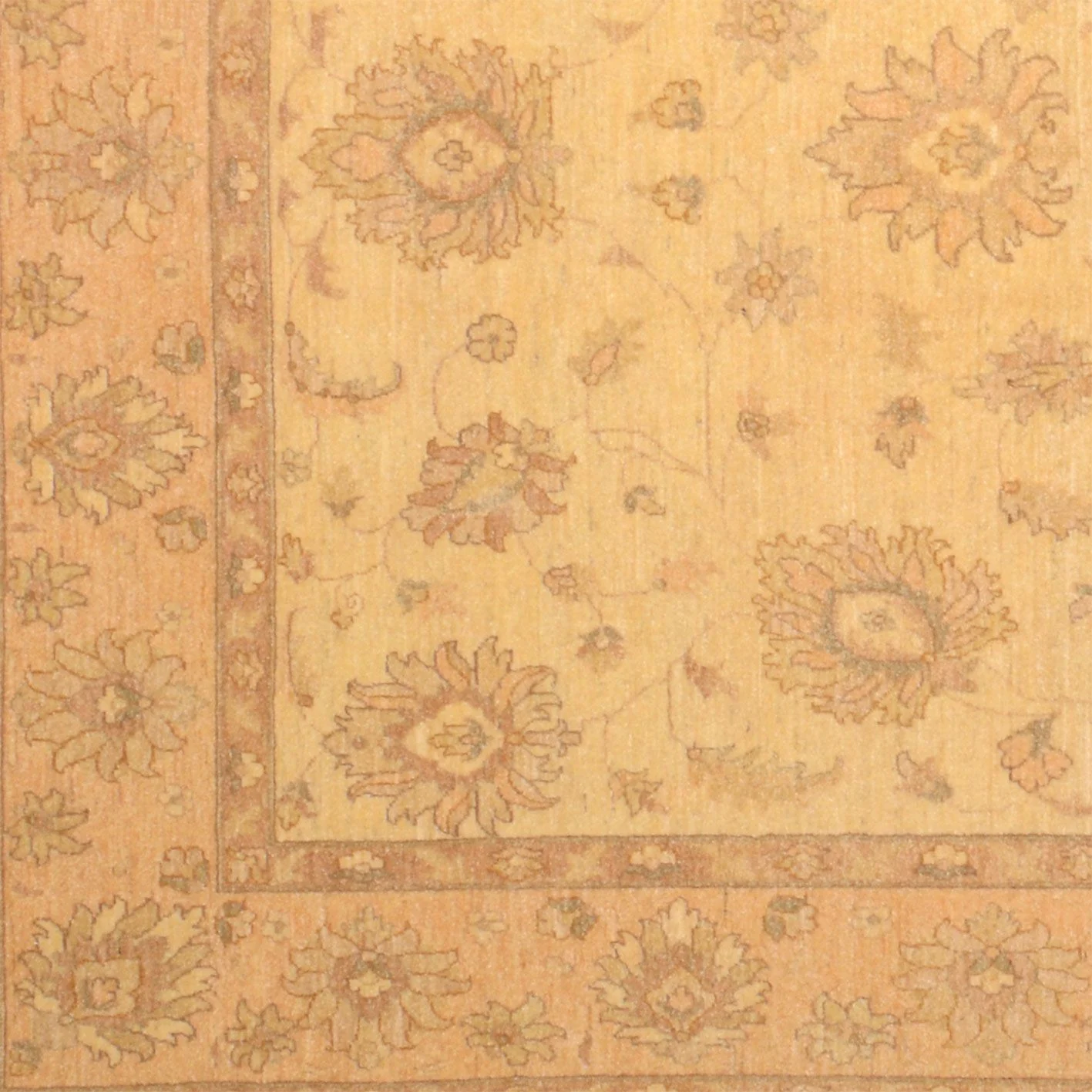 Hand-Knotted Ziegler Pakistani Rug, 192 × 249 cm, Wool - Image 4