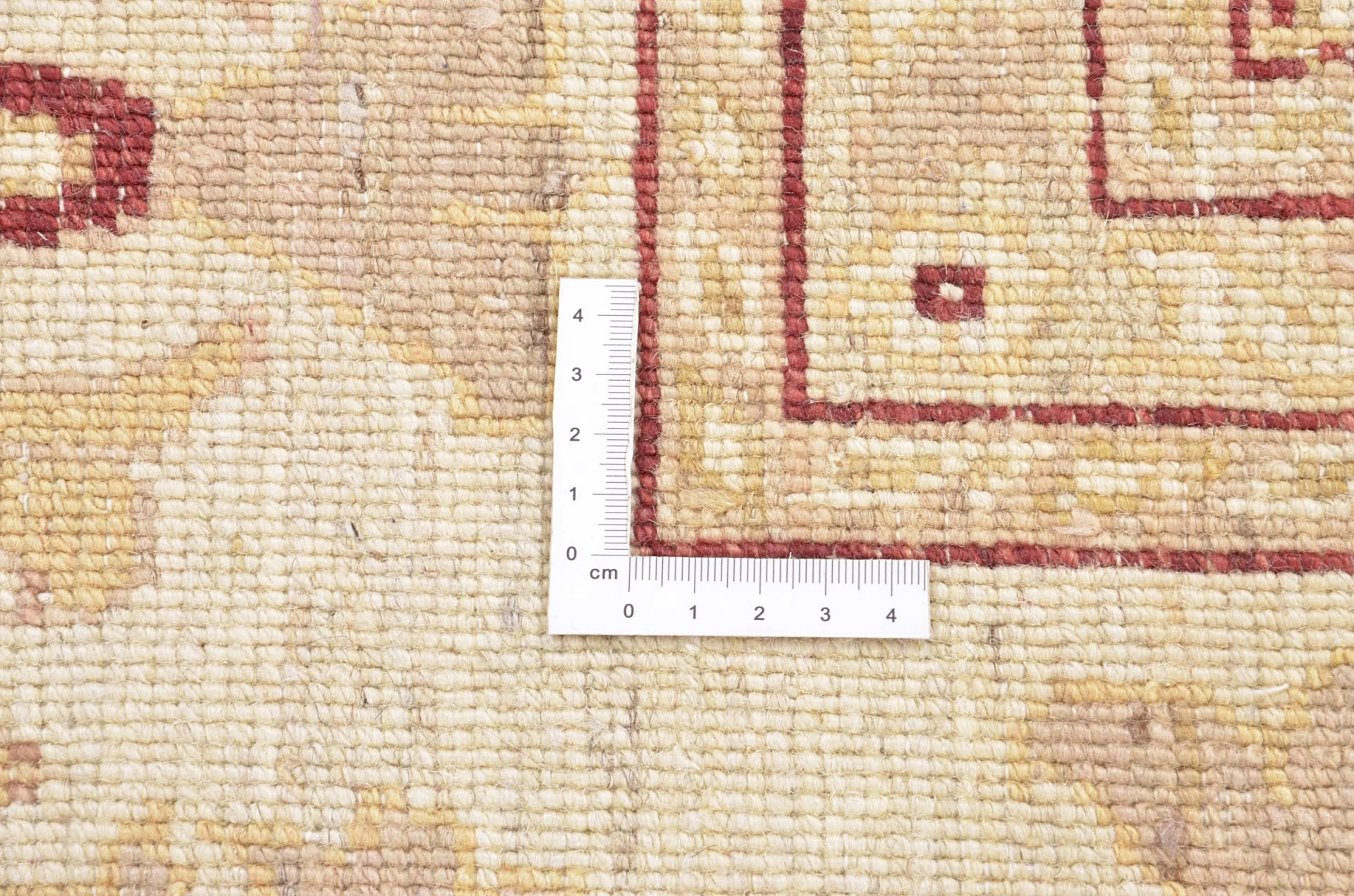 Hand-Knotted Ziegler Pakistani Rug, 255 × 330 cm, Wool - Image 3