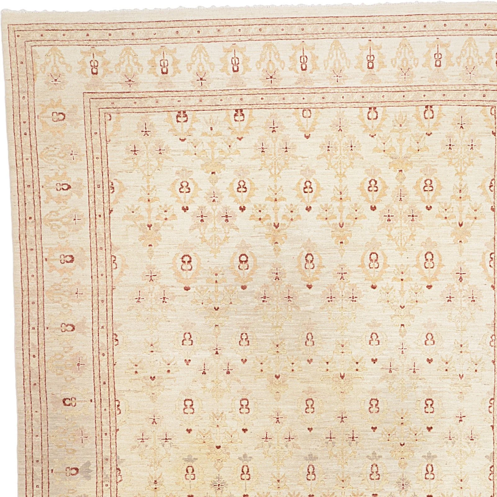 Hand-Knotted Ziegler Pakistani Rug, 255 × 330 cm, Wool - Image 6