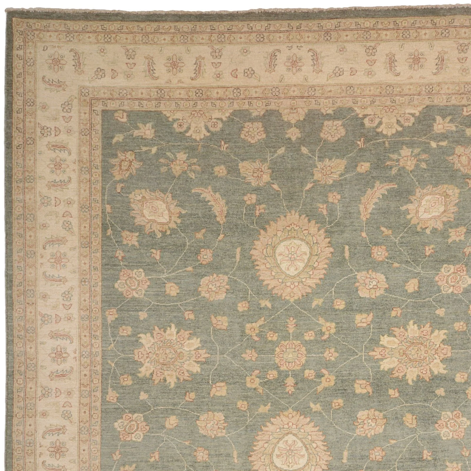 Wool Ziegler Pakistani Rug 246 × 295 cm, hand-knotted - Image 3