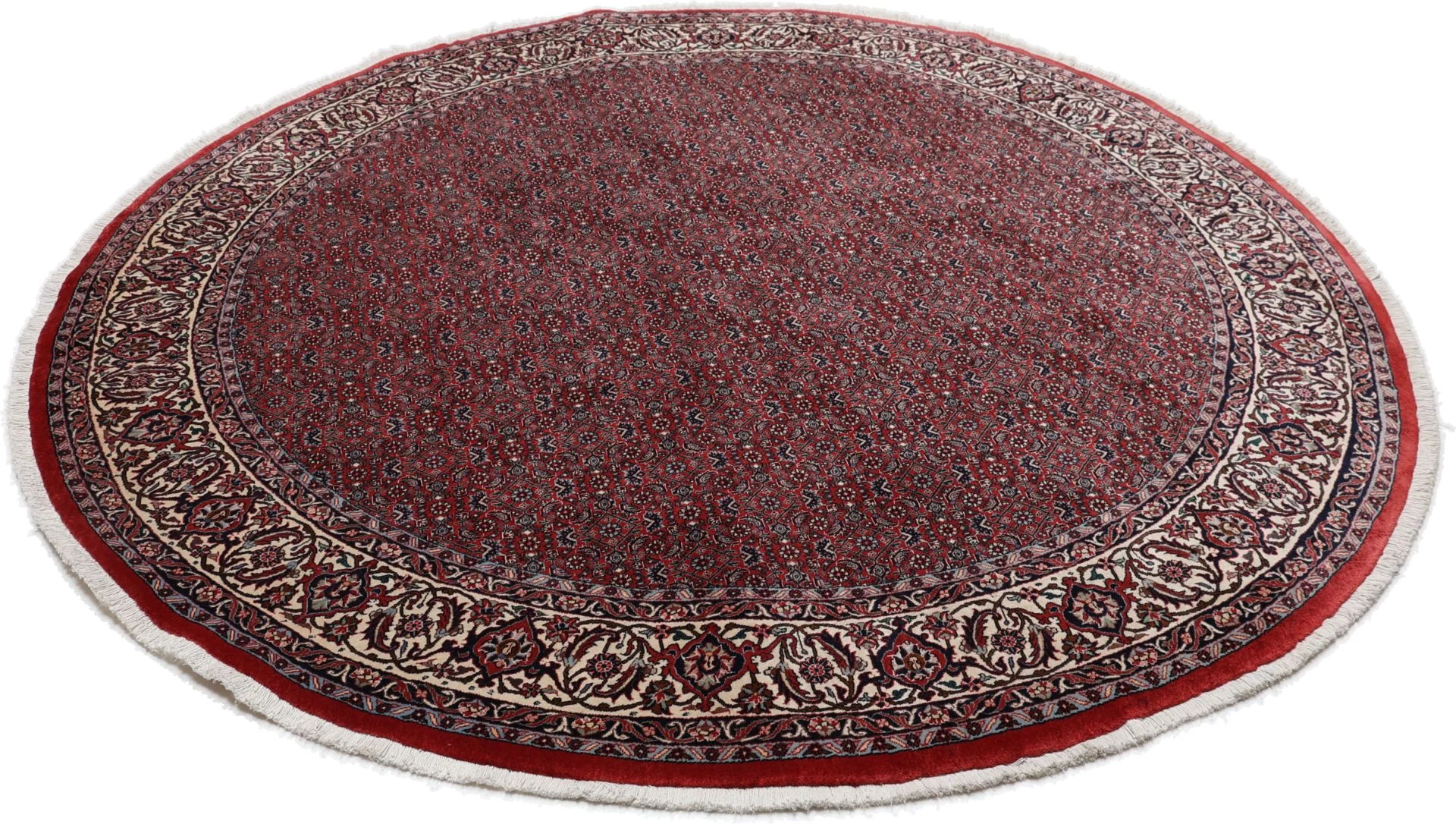 Alternative view of Wool Bijar Persian Rug 220 × 220 cm, hand-knotted