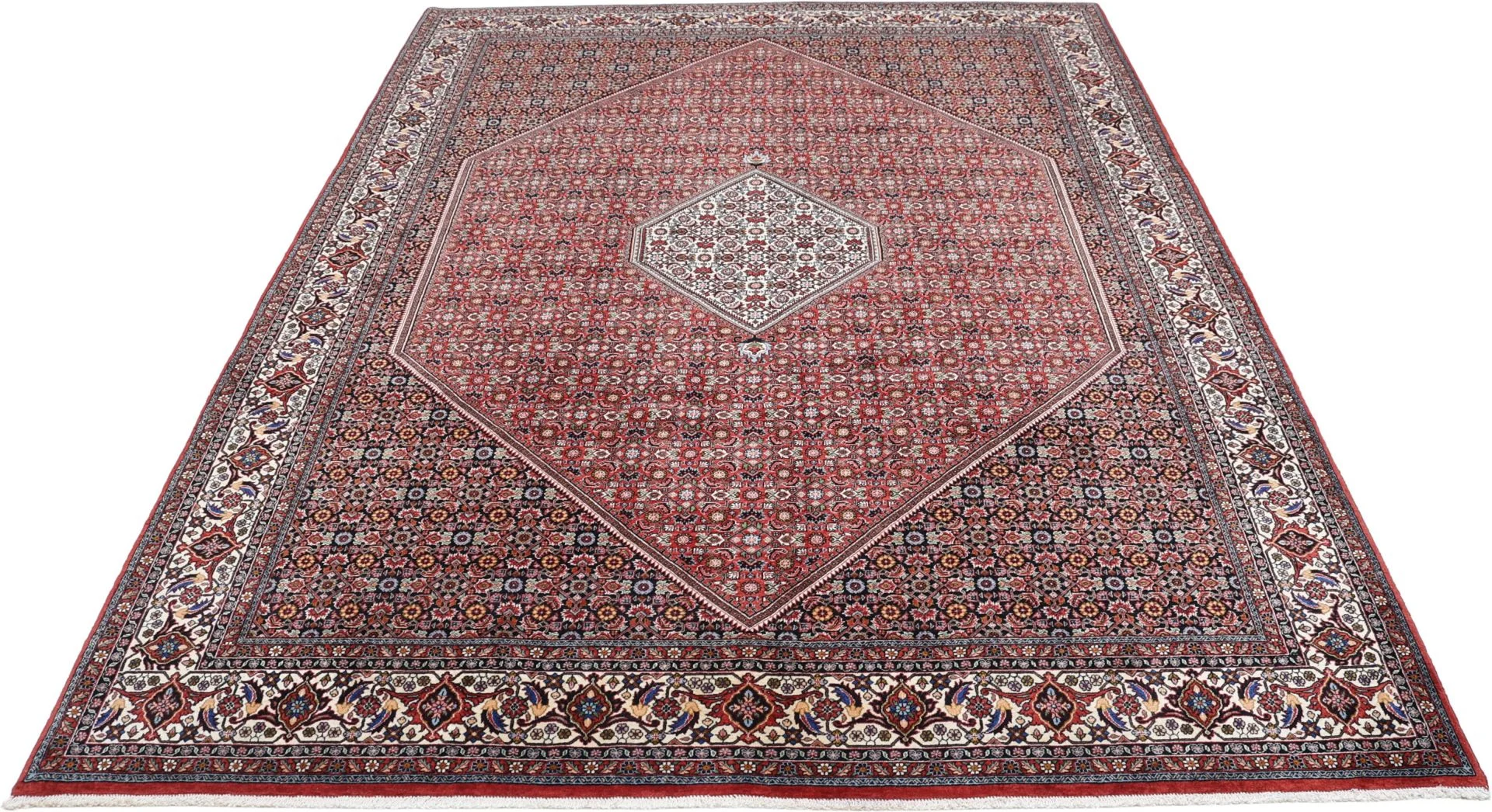 Alternative view of Wool Bijar Persian Rug 255 × 342 cm, hand-knotted