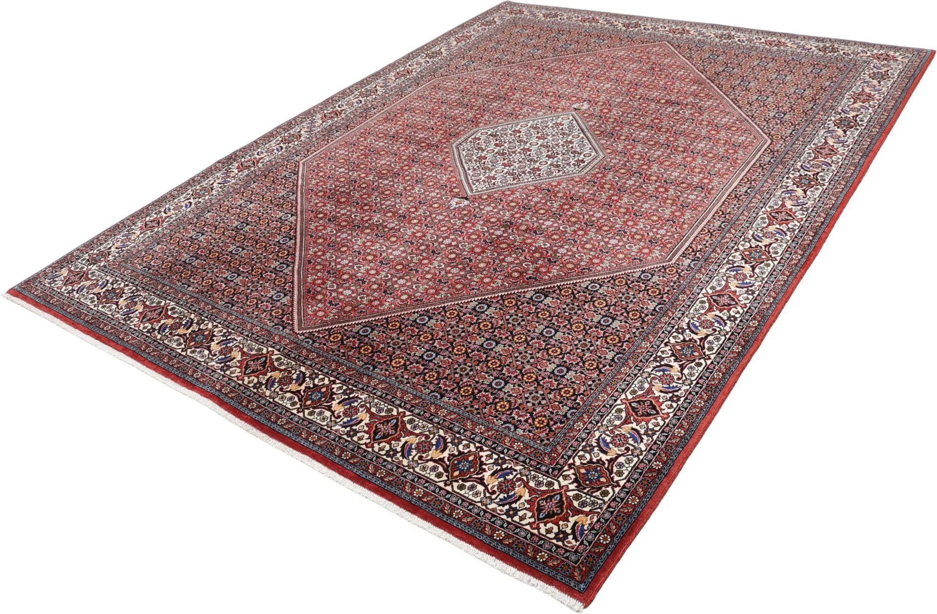 Wool Bijar Persian Rug 255 × 342 cm, hand-knotted - Image 3