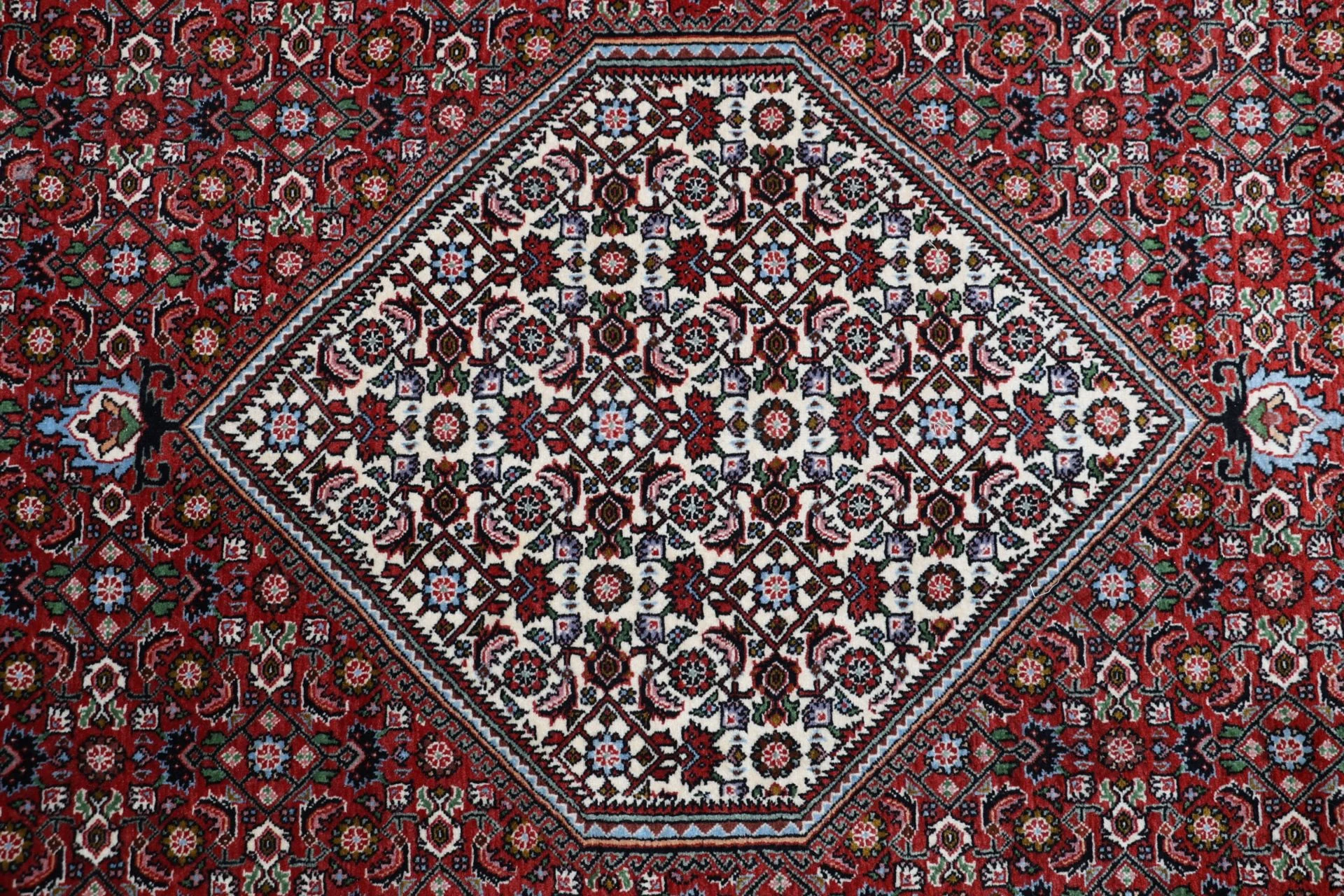 Wool Bijar Persian Rug 255 × 342 cm, hand-knotted - Image 9