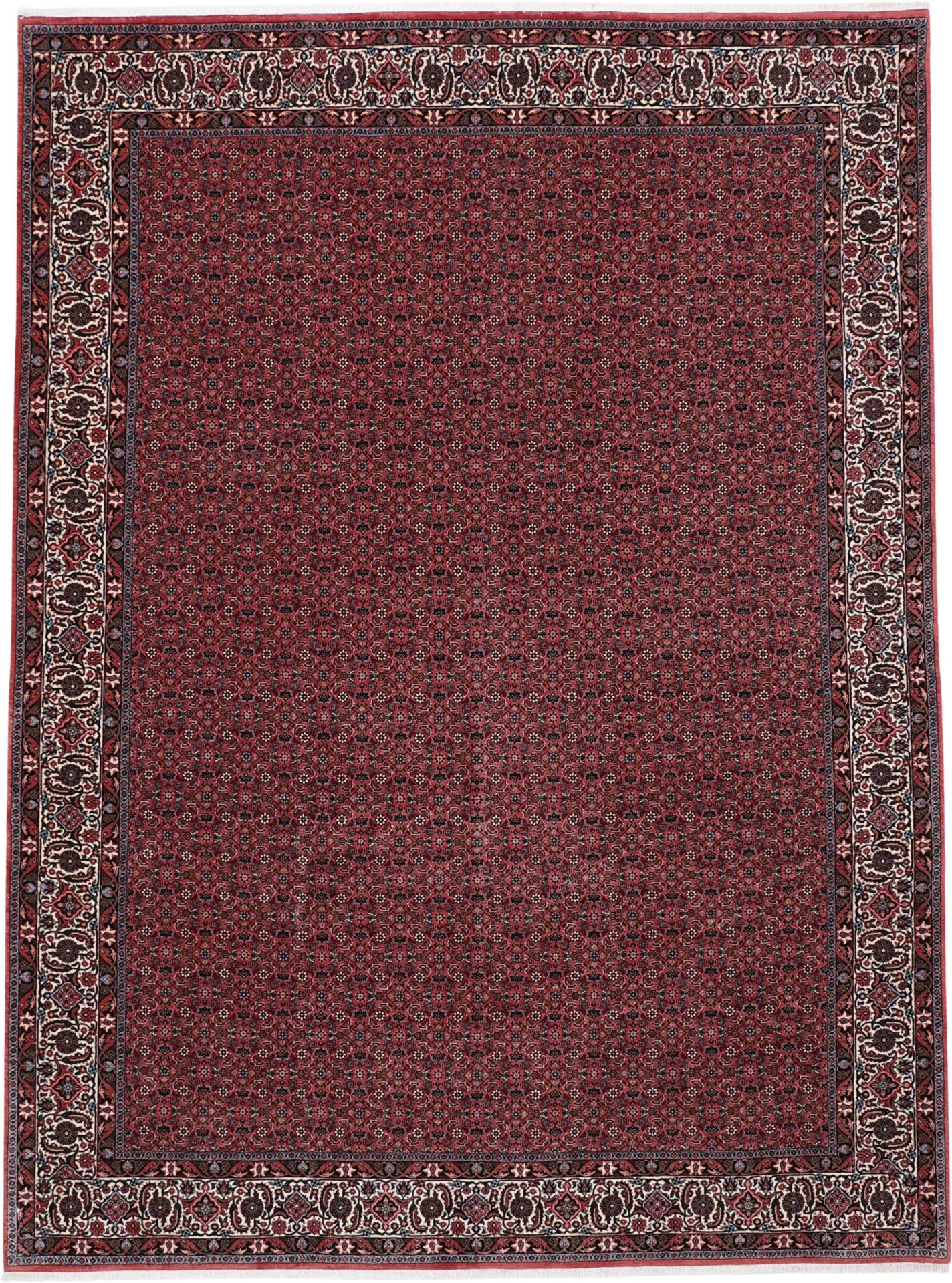 Hand-Knotted Bijar Persian Rug, 247 × 336 cm, Wool