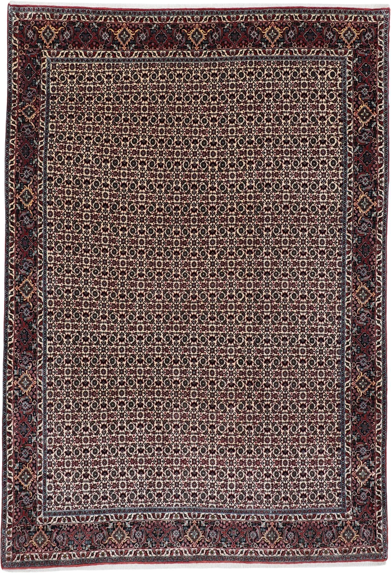 Hand-Knotted Bijar Persian Rug, 206 × 300 cm, Wool