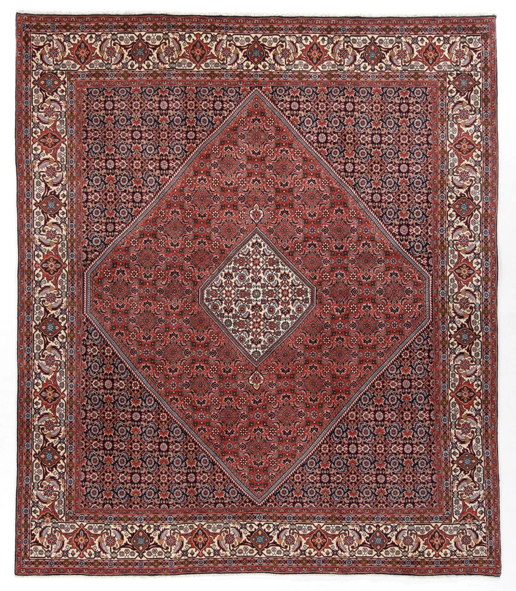 Wool Bijar Persian Rug 248 × 290 cm, hand-knotted