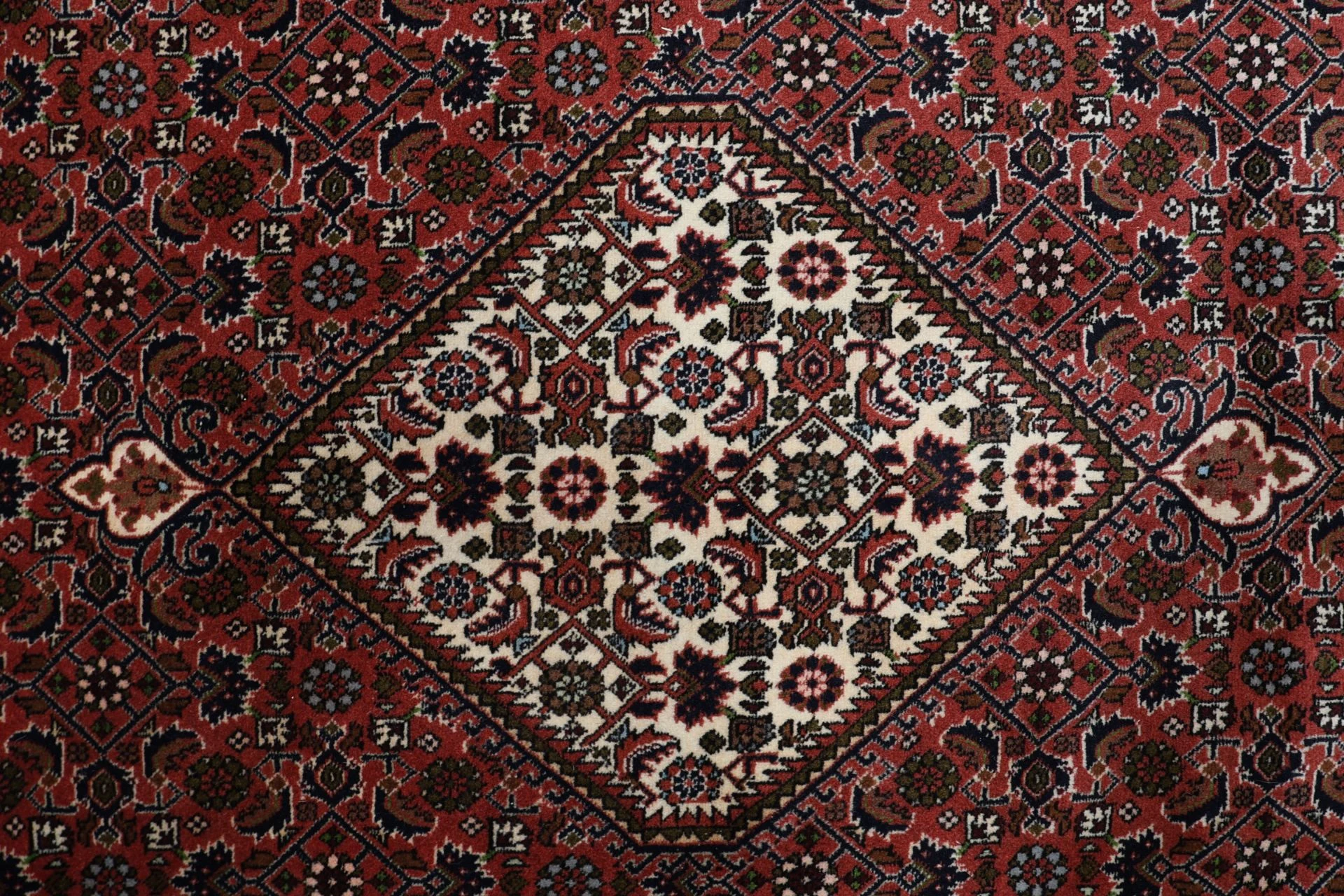 Hand-Knotted Bijar Persian Rug, 250 × 290 cm, Wool - Image 9