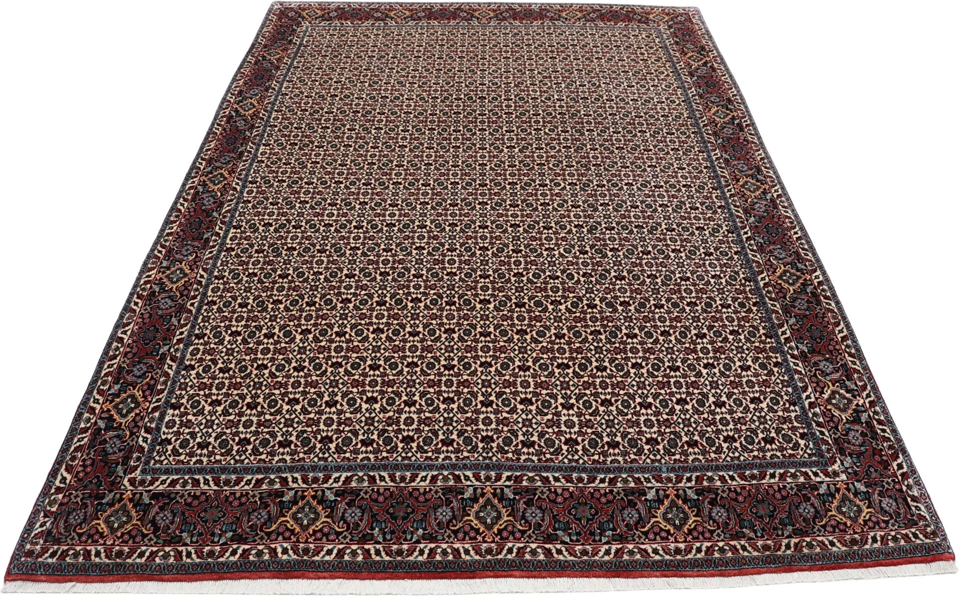 Hand-Knotted Bijar Persian Rug, 206 × 300 cm, Wool - Image 7
