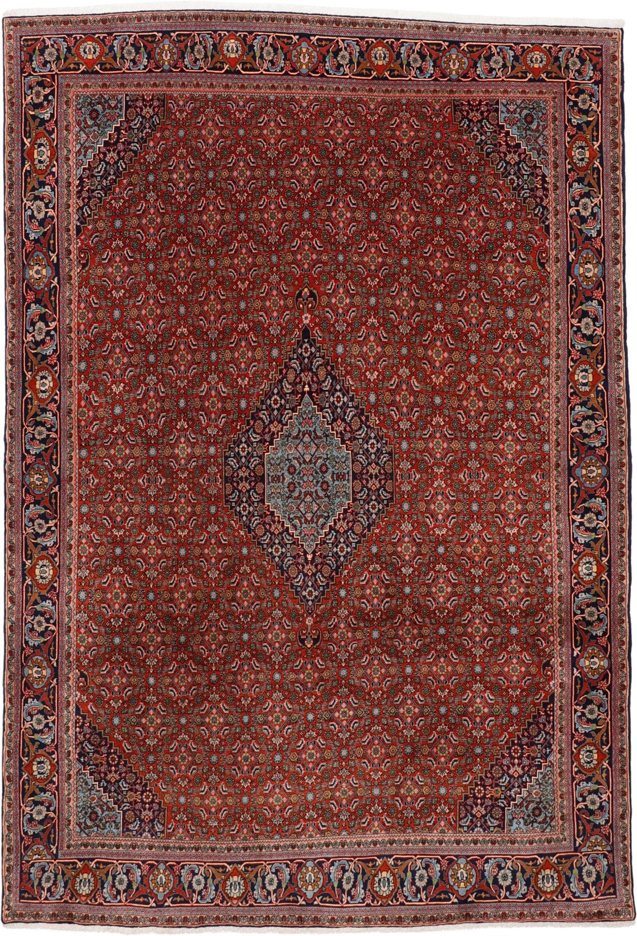 Bijar Persian Rug 235 × 340 cm in Wool, hand-knotted