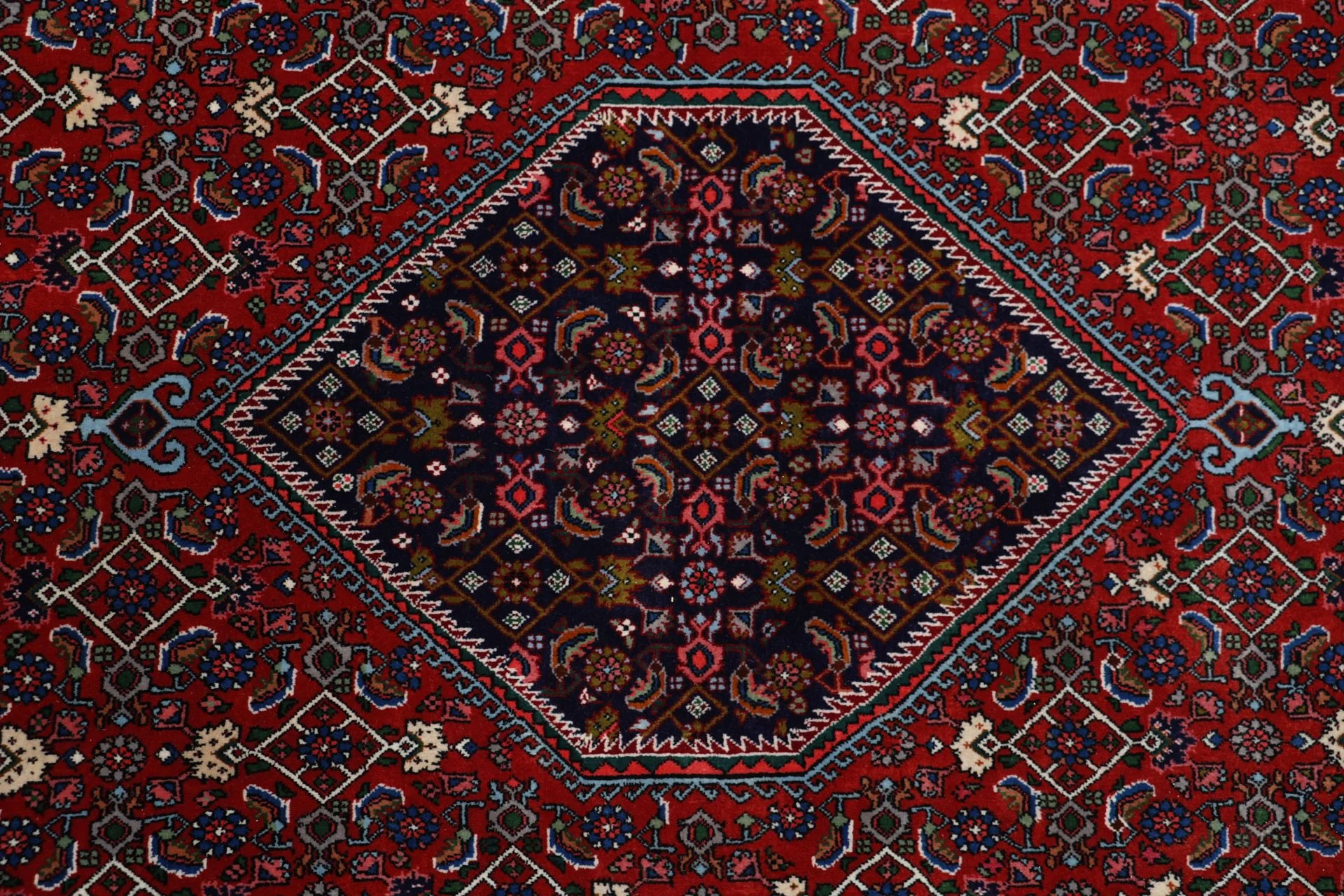 Bijar Persian Rug 212 × 292 cm in Wool, hand-knotted - Image 9