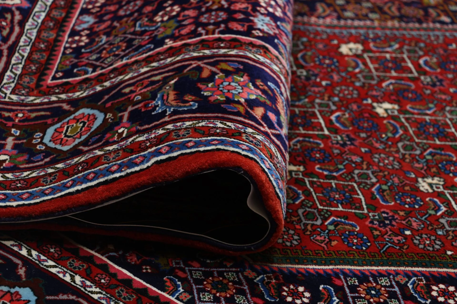 Bijar Persian Rug 212 × 292 cm in Wool, hand-knotted - Image 10
