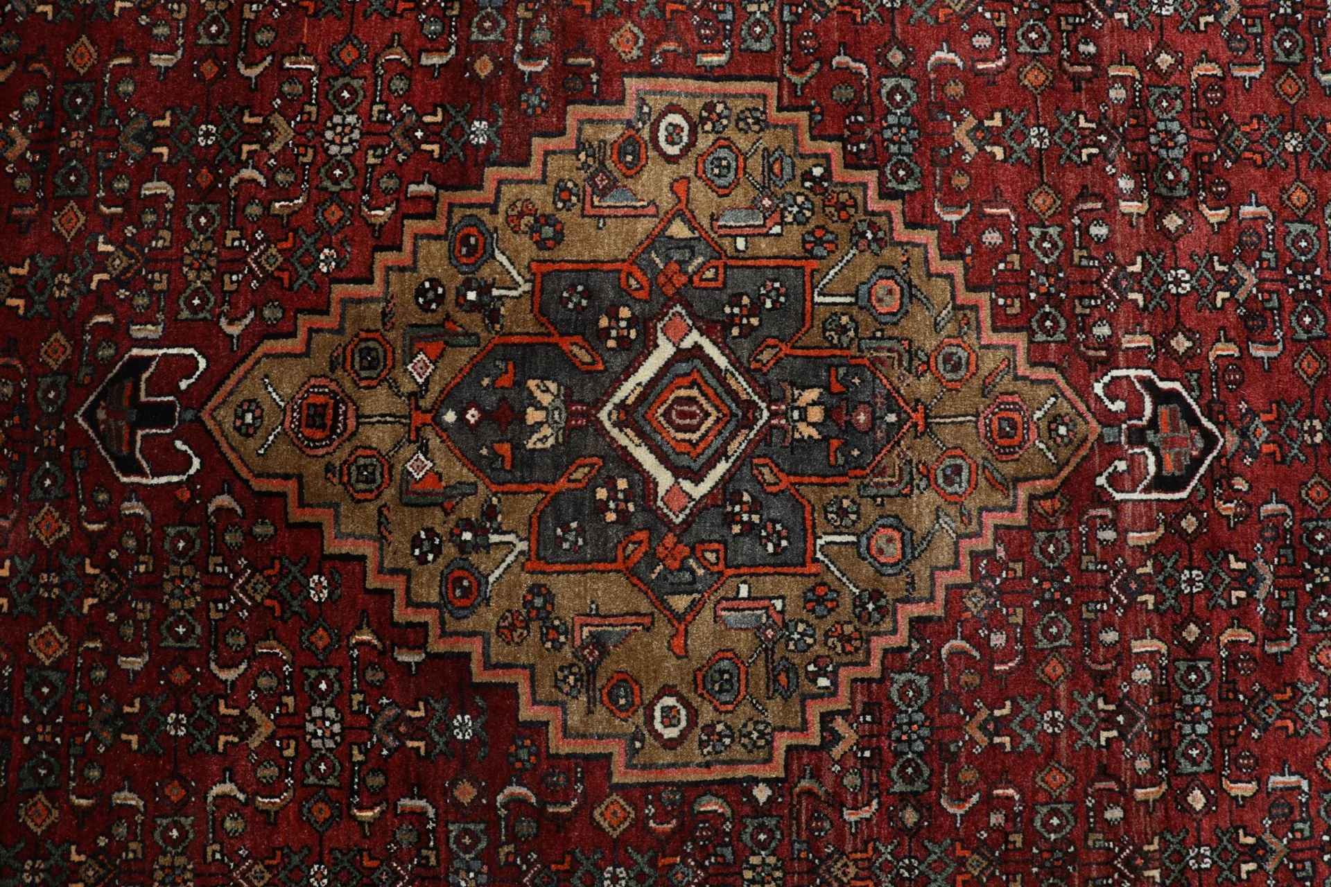 Hand-Knotted Bijar Persian Rug, 203 × 300 cm, Wool - Image 9