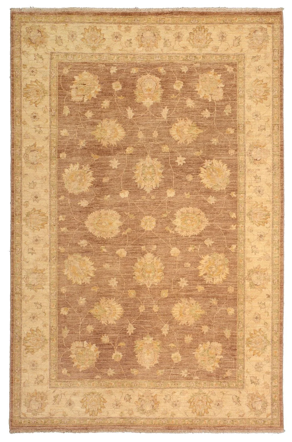 Hand-Knotted Ziegler Pakistani Rug, 180 × 272 cm, Wool