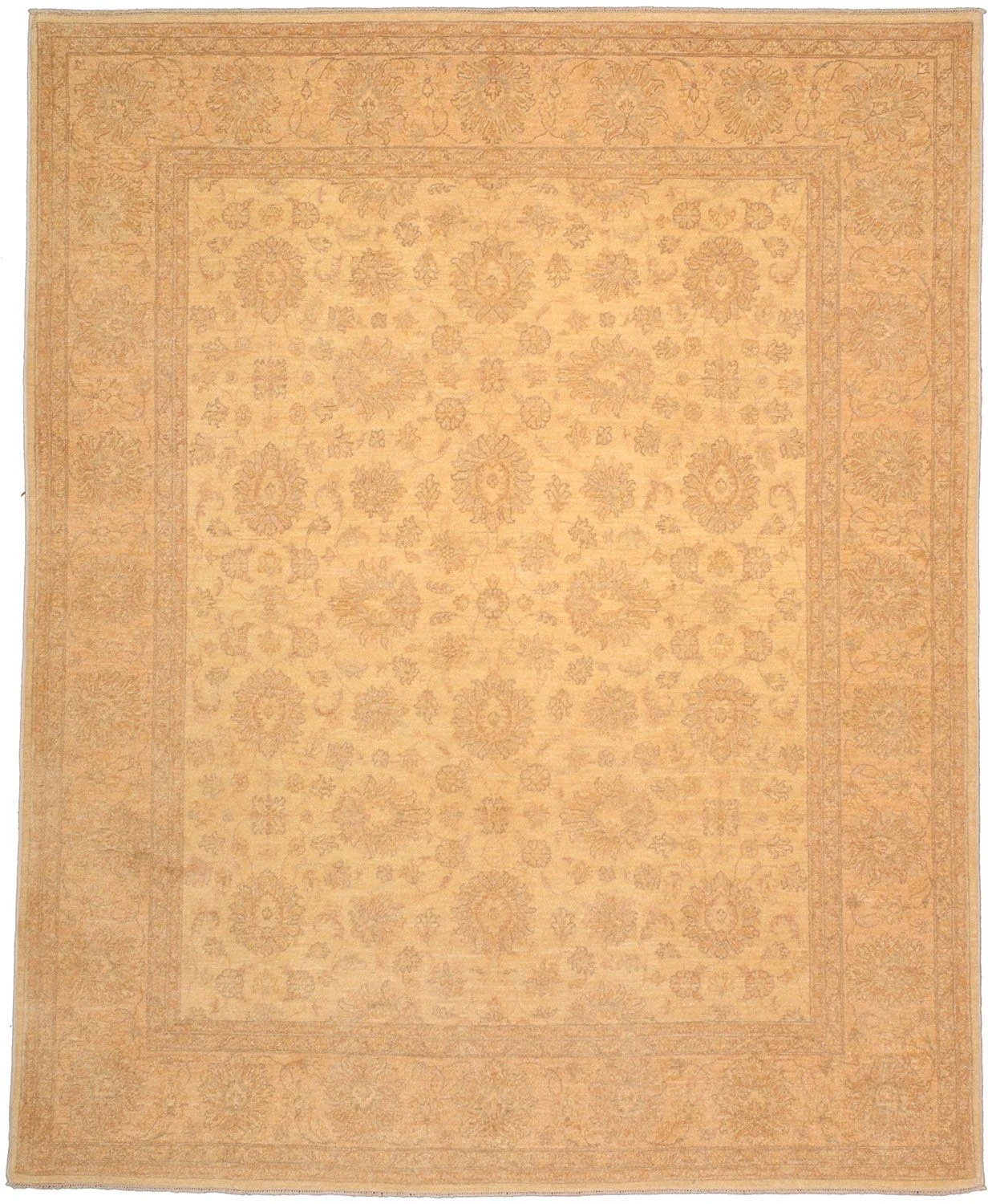 Wool Ziegler Pakistani Rug 196 × 240 cm, hand-knotted