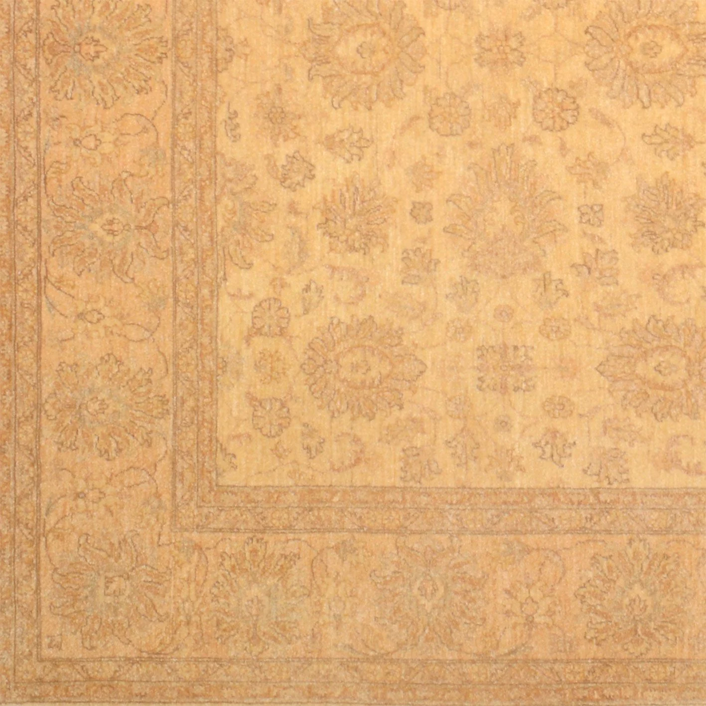 Wool Ziegler Pakistani Rug 196 × 240 cm, hand-knotted - Image 4