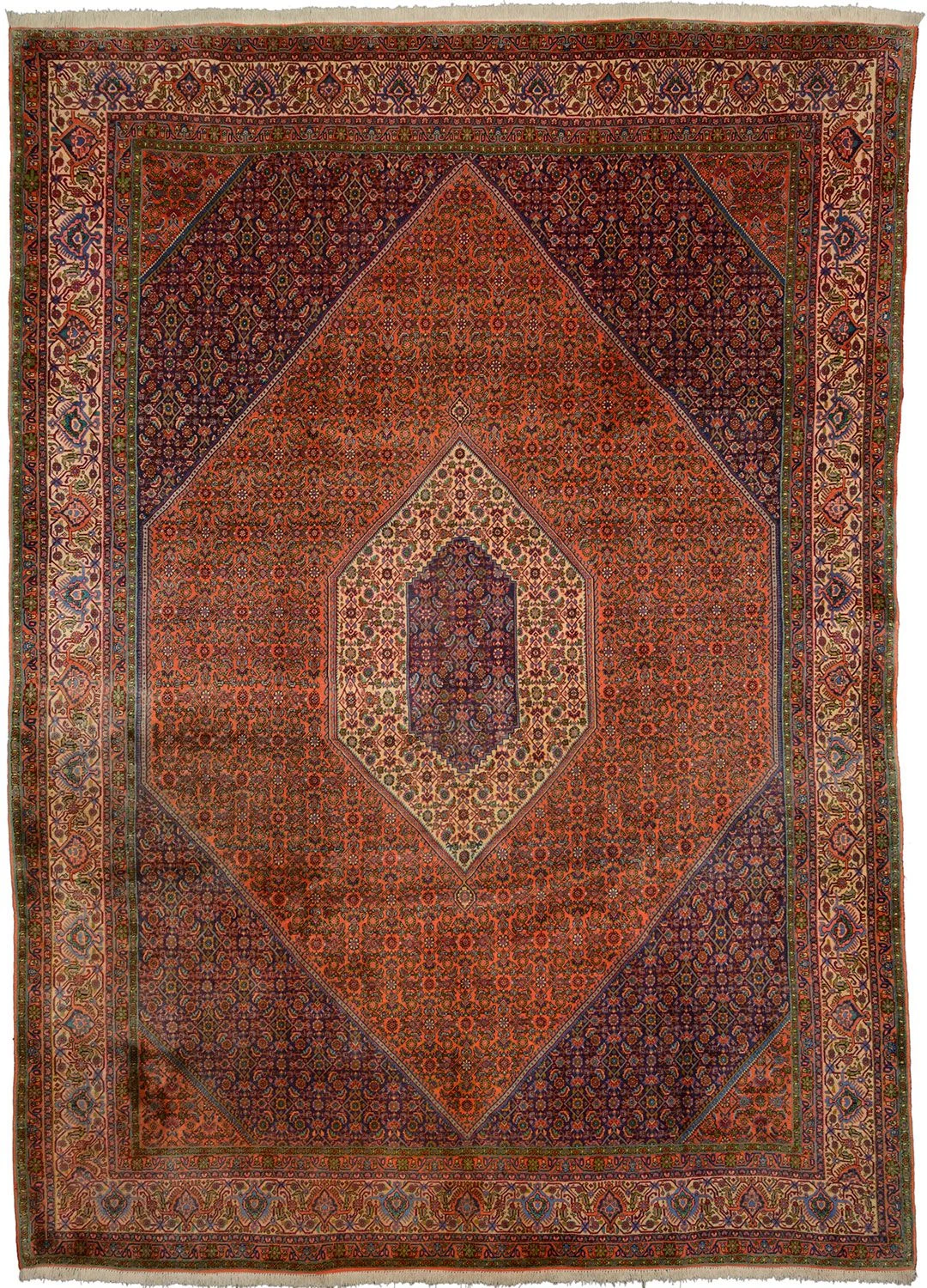 Bijar Persian Rug 257 × 361 cm in Wool, hand-knotted