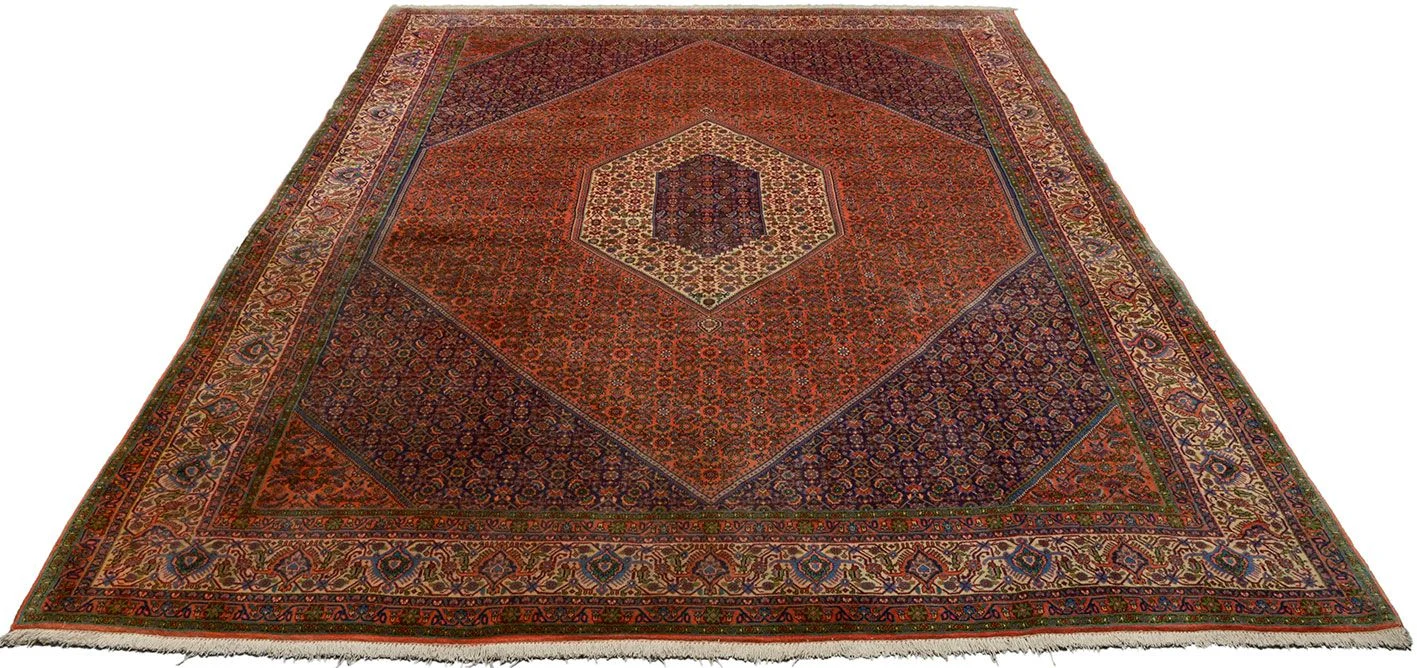Alternative view of Bijar Persian Rug 257 × 361 cm in Wool, hand-knotted