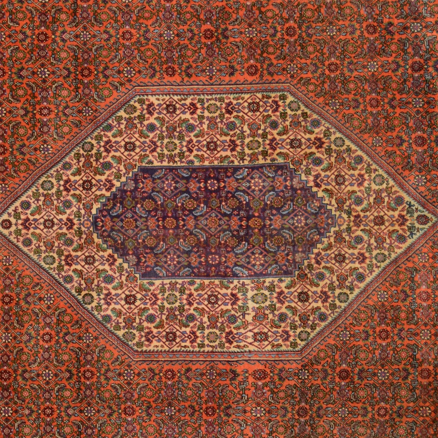 Bijar Persian Rug 257 × 361 cm in Wool, hand-knotted - Image 4