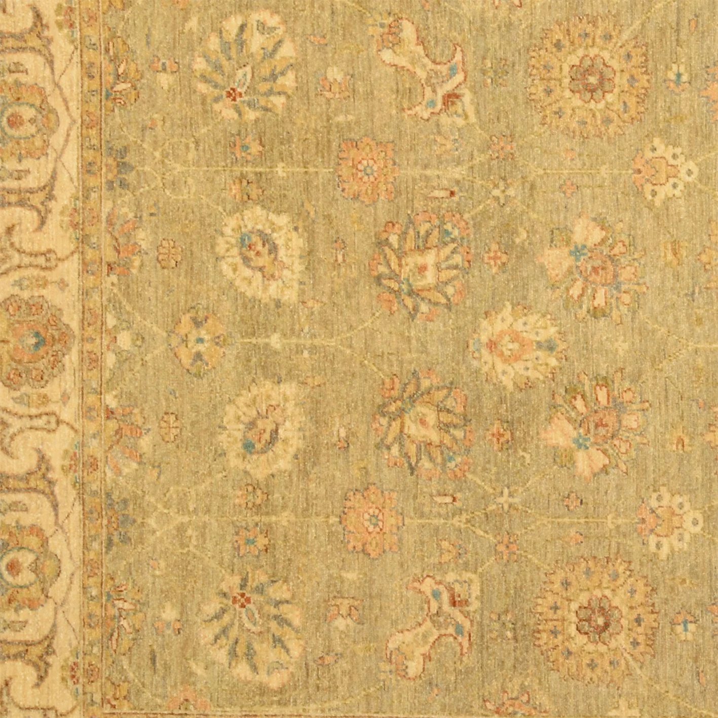 Wool Ziegler Pakistani Rug 185 × 266 cm, hand-knotted - Image 4