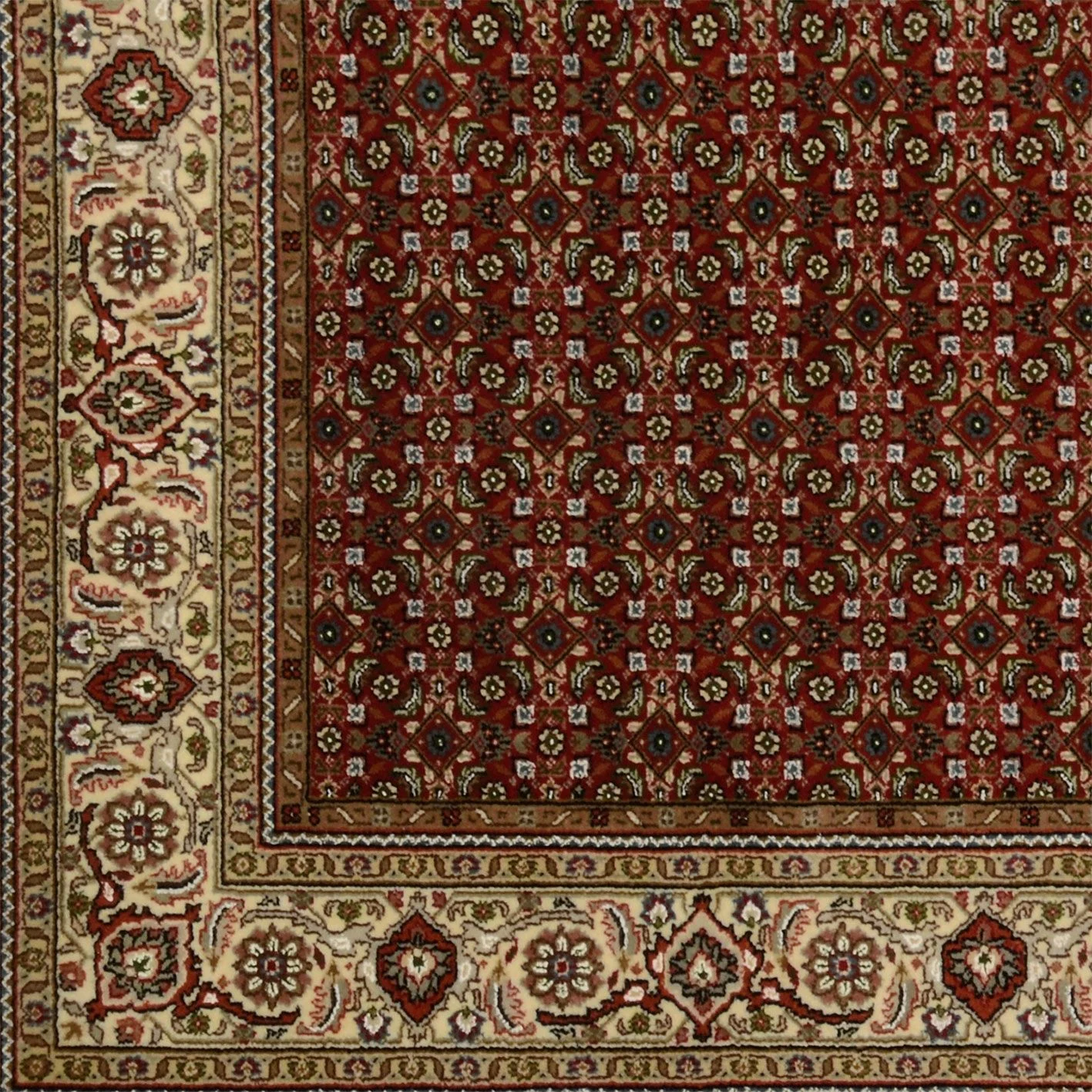 Hand-Knotted Tabriz Indian Rug, 203 × 305 cm, Wool - Image 4